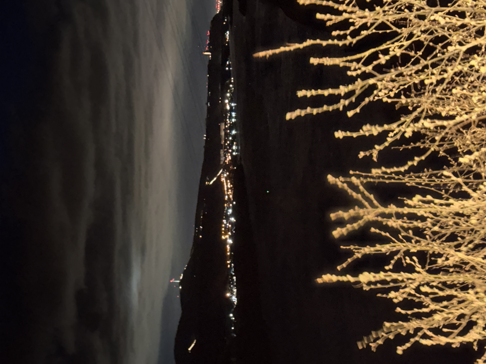 At night in Слизнево, Russia, the image shows a cityscape with lights visible along a road. To the right of the image, there are branches of a tree covered in a light, possibly snowy, substance. The sky is dark with some cloud cover visible.