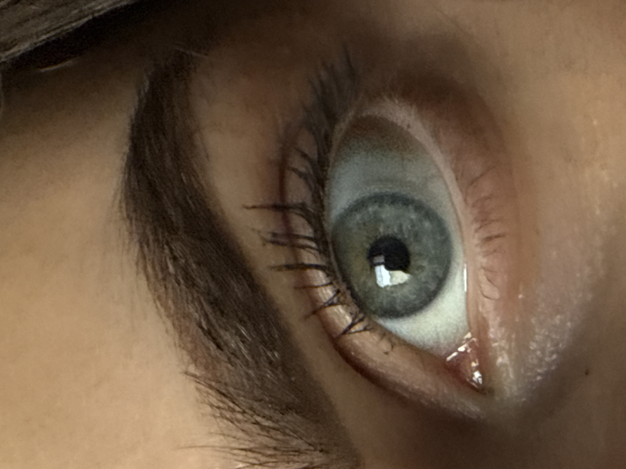This is an extreme close-up, high-angle shot focusing on a human eye. The eye, which appears to be grey-blue with hints of green in the iris, is wide open, with a perfectly round, dark pupil reflecting a bright, rectangular light source. The eyelashes are dark and appear to be coated with mascara, showing some separation and definition. A slight collection of moisture or tears is visible in the inner corner of the eye, near the tear duct.
Above the eye, a well-groomed, dark brown eyebrow arches prominently. The surrounding skin is of a fair to medium tone, showing natural texture and slight creases, particularly around the outer corner of the eye. The lighting is direct, highlighting the eye's features and creating sharp reflections. The image provides an intimate, detailed view of this facial feature. No specific activity or emotion is clearly conveyed beyond an alert and open gaze. There is no visible text or specific location cues discernible within the frame.