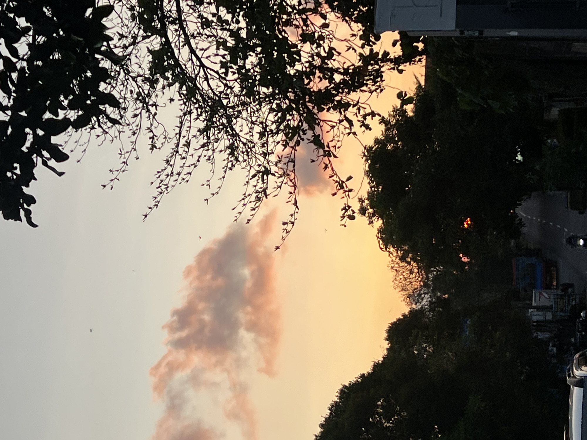The image captures a dusky sky over a street scene in Denpasar, Indonesia. The sky transitions from a pale yellow near the horizon to a lighter, almost white hue higher up, with streaks of pink from clouds. Silhouetted trees and branches dominate the foreground and parts of the middle ground, with dark green foliage and intricate branch patterns. Below the trees, a street is visible, with various vehicles including trucks, what appear to be shipping containers, and a motorcycle with a rider. The road itself seems to be paved. The overall atmosphere is that of an urban environment at dusk, possibly during a sunset, with a backdrop of tropical vegetation. The specific location is a street in Denpasar, Indonesia, as indicated.