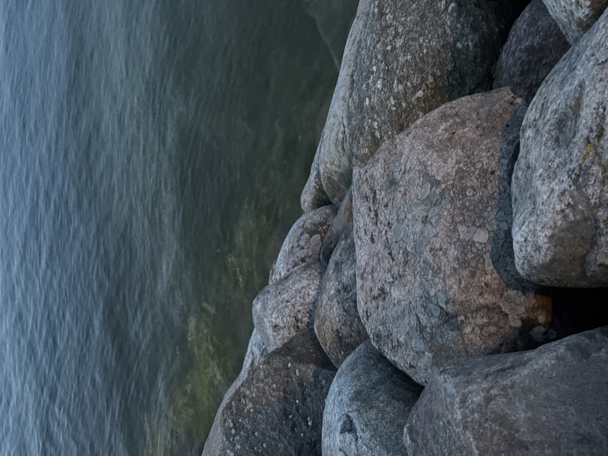 The image presents a close-up, high-angle view of a rocky shoreline bordering a body of water, located in Tallinn, Estonia. The foreground and midground are occupied by numerous large, rounded boulders of varying shades of gray, many showing patches of white, light green, and brownish lichen. These rocks are irregularly stacked, forming a natural or constructed barrier. The upper portion of the frame features the dark blue-green water, which exhibits subtle ripples across its surface. Closer to the rocky edge, the water appears shallower, revealing lighter greenish-yellow hues indicative of submerged vegetation or sediment. The overall lighting is soft and ambient. No individuals, animals, or distinct man-made structures beyond the rock arrangement are visible within the scene.