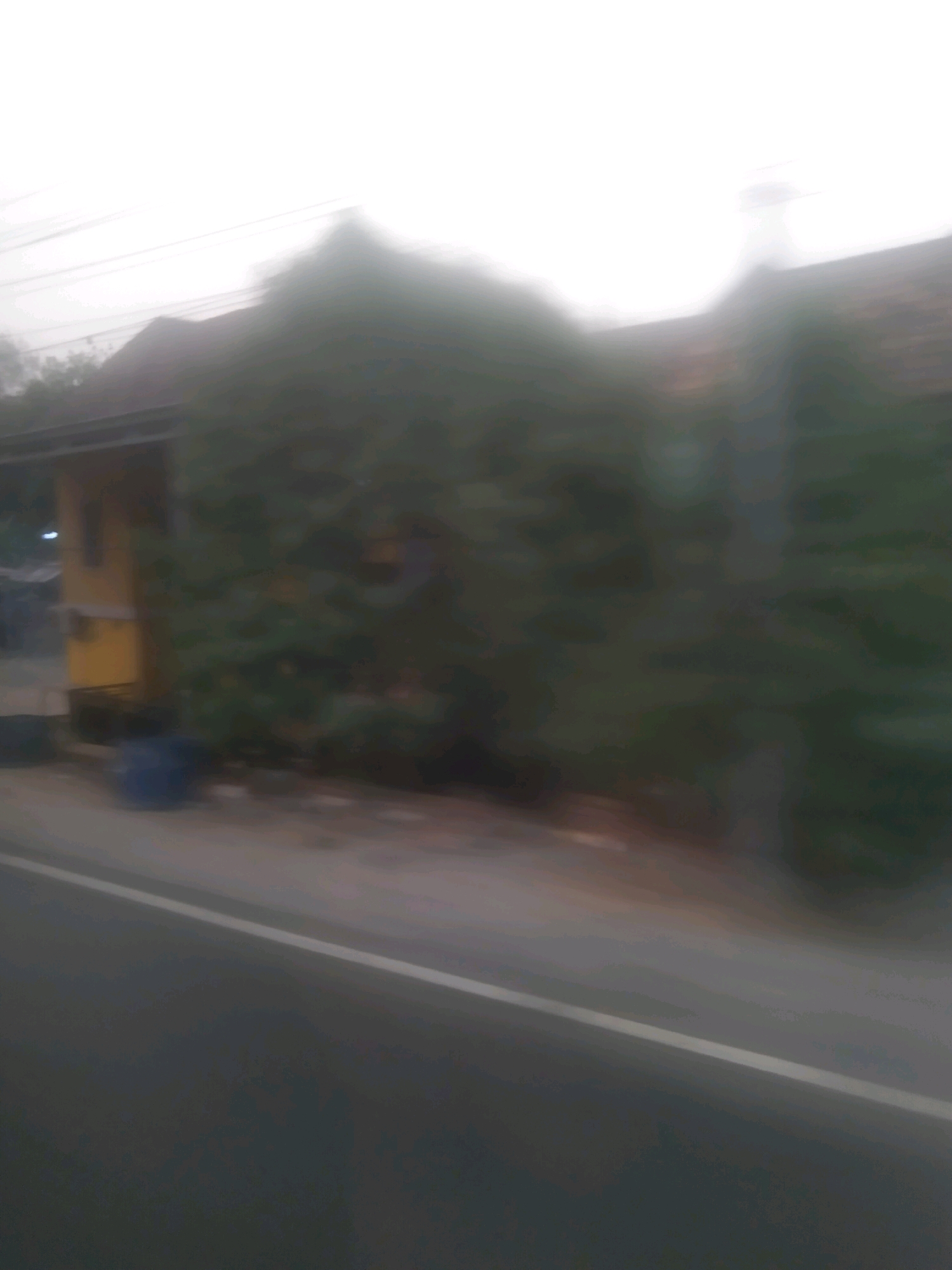 A blurred, outdoor scene depicts a building with a dark roof and yellow siding, partially obscured by dense green foliage. The building appears to be situated beside a road, with a white line visible on the asphalt. A blue object, possibly a trash bin, is located near the building. The sky above is a bright, overcast white. The overall image quality is poor, suggesting a motion blur or low-resolution capture.