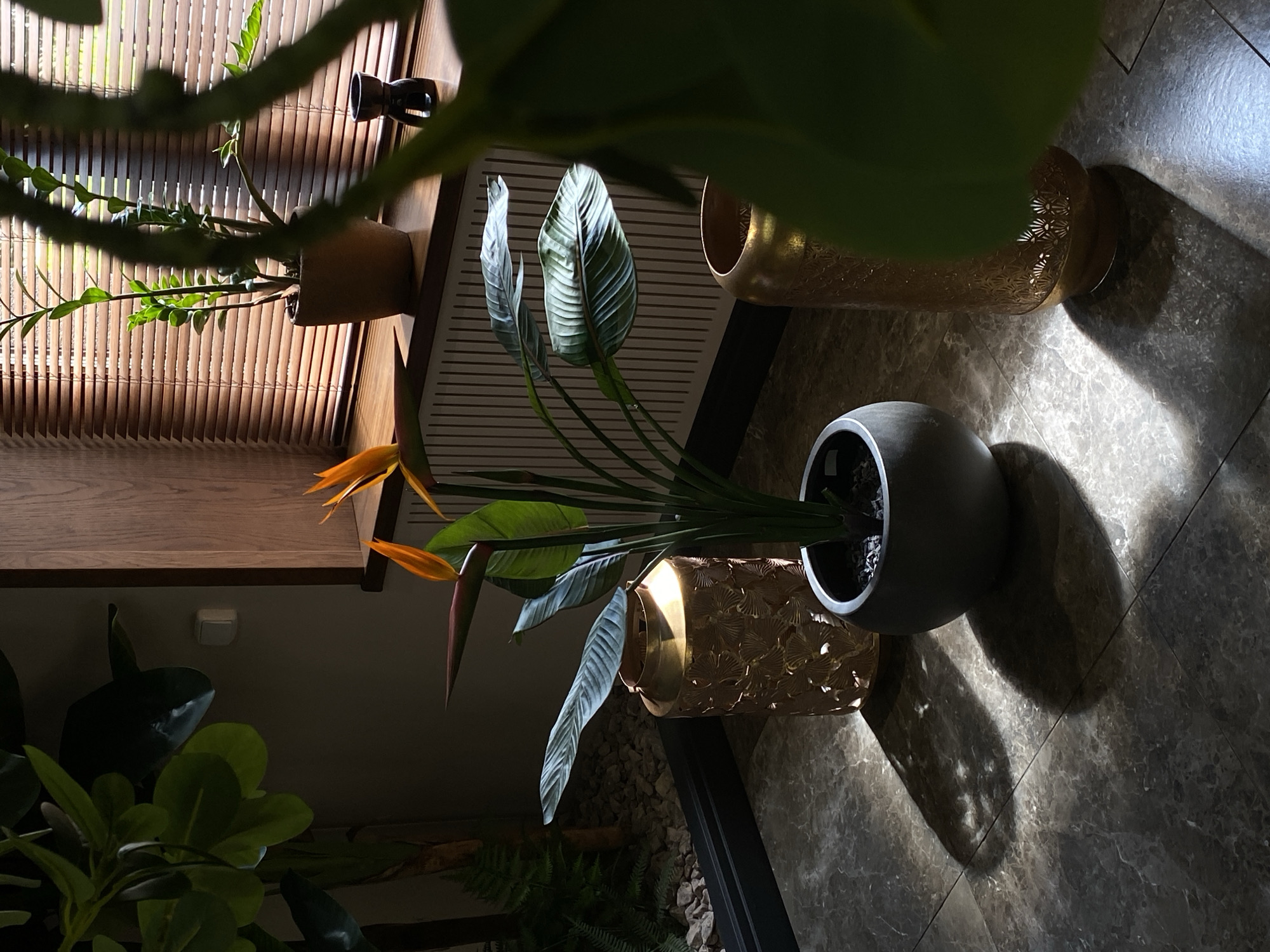 A close-up, medium shot captures a potted Bird of Paradise plant situated on a tiled floor. The plant, with its prominent orange and blue inflorescence and large green leaves, is the primary subject. To the left of the plant, a gold metal lantern with intricate cut-out patterns casts a shadow. Another similar gold lantern is partially visible to the right of the plant. Sunlight streams through a window with horizontal blinds, creating dramatic shadows on the floor and the back wall. In the background, a smaller potted plant sits on a wooden windowsill, and a dark-colored diffuser is also present. The overall scene is dimly lit, with strong contrast between light and shadow. The location of Votkinsk, Russia is not visually indicated in the image.