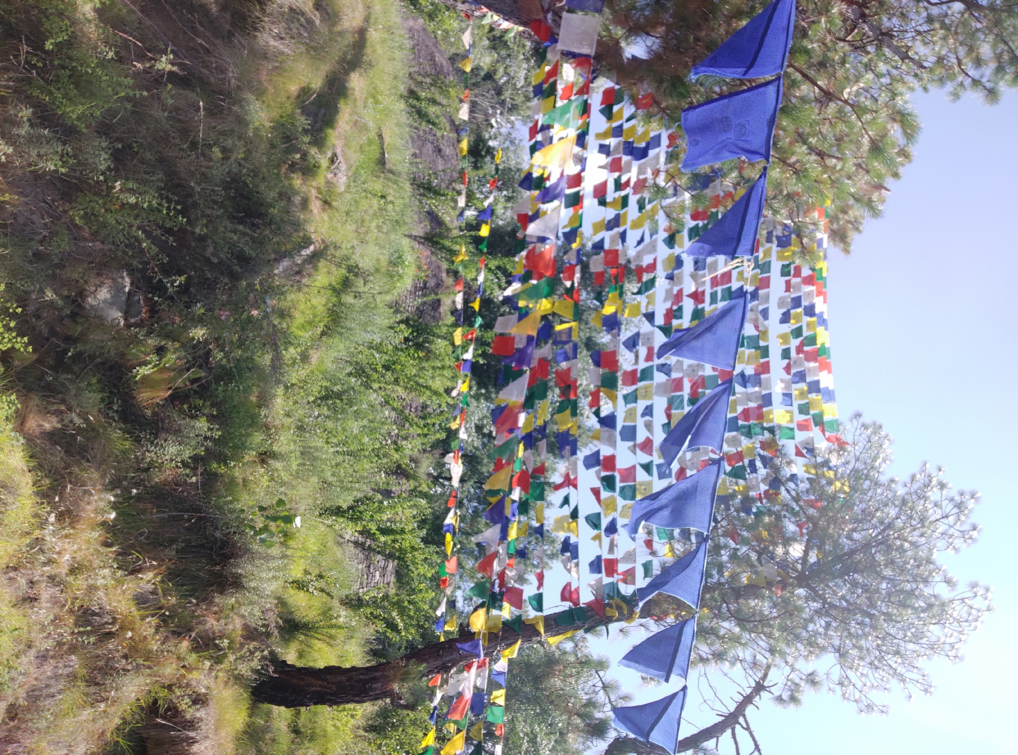 This media file depicts a serene outdoor scene adorned with numerous prayer flags. The flags are primarily in blue, white, red, yellow, and green, strung together in long streamers. Some of these streamers are draped over the branches of a large coniferous tree, while others cascade down, creating a vibrant visual tapestry against the clear blue sky.
In the background, a lush green hillside is visible, covered in dense vegetation and trees. A rough-hewn stone wall or structure can be seen on the left side of the hillside. The overall setting suggests a natural, possibly mountainous environment, consistent with the location context of Baragran, India, known for its hilly terrain and Buddhist influences where prayer flags are commonly seen.
The image appears to be taken during the daytime, indicated by the bright sunlight and the clear, cloudless sky. The sunlight illuminates the flags and foliage, casting subtle shadows. The atmosphere conveyed is peaceful and spiritual, typical of locations where prayer flags are used for blessings and good fortune.
There are no visible people or specific activities or events taking place, making the focus solely on the prayer flags, the tree, and the natural landscape. The image is composed in a vertical orientation, with the prayer flags and tree dominating the right side, and the hillside occupying the left. No discernible text is present in the image.