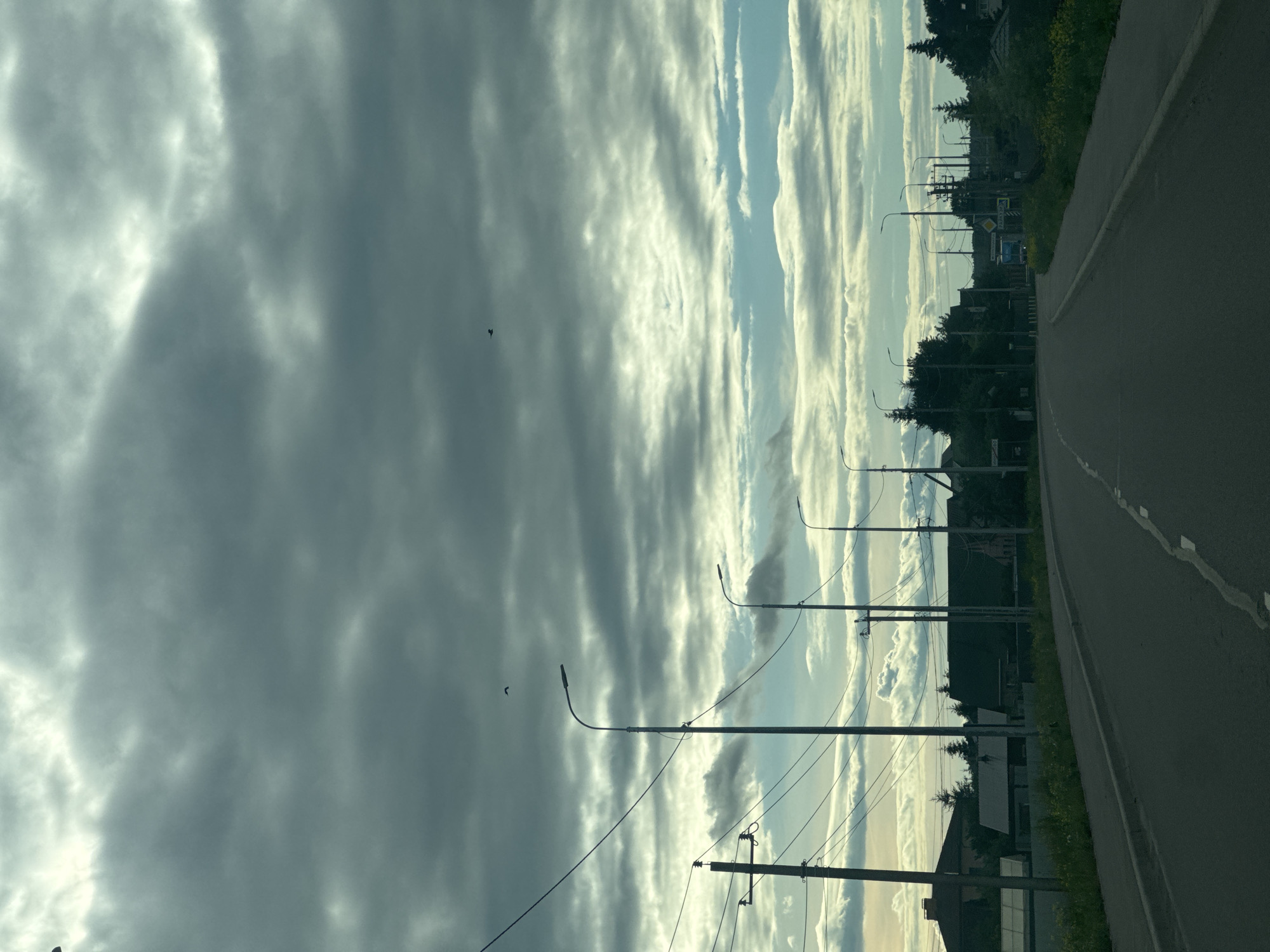 The image shows a rural roadside scene in Raikuzi, Russia, as captured from a moving vehicle. The perspective is from inside a car looking out the side window, with the camera tilted to capture the full scene.
The main subjects are a road and the sky. The road is asphalt, with a white line marking the edge and intermittent white dashes indicating lanes. To the right of the road, a grassy verge is visible, dotted with wildflowers. Beyond the verge, a line of trees forms a dense green backdrop, interspersed with houses and other buildings. Several utility poles with visible wires and streetlights line the roadside, suggesting a populated area. One street sign is visible, featuring a yellow diamond shape with black markings.
The sky is a dominant feature, filled with dramatic clouds. On the left side, dark, heavy clouds obscure the sky, creating a somber atmosphere. These gradually transition to lighter, wispy clouds and patches of blue sky towards the right. The contrast suggests a dynamic weather system. The lighting indicates it is likely late afternoon or early evening, with the sun perhaps setting or behind clouds, casting long shadows and highlighting the edges of the clouds.
There are no people visible in the frame. The only other notable elements are two small, dark shapes in the sky that could be birds.
The overall mood is somewhat dramatic due to the contrasting clouds and the sense of a journey along a quiet, tree-lined road. The scene conveys a sense of rural life and the beauty of natural elements interacting with human infrastructure.