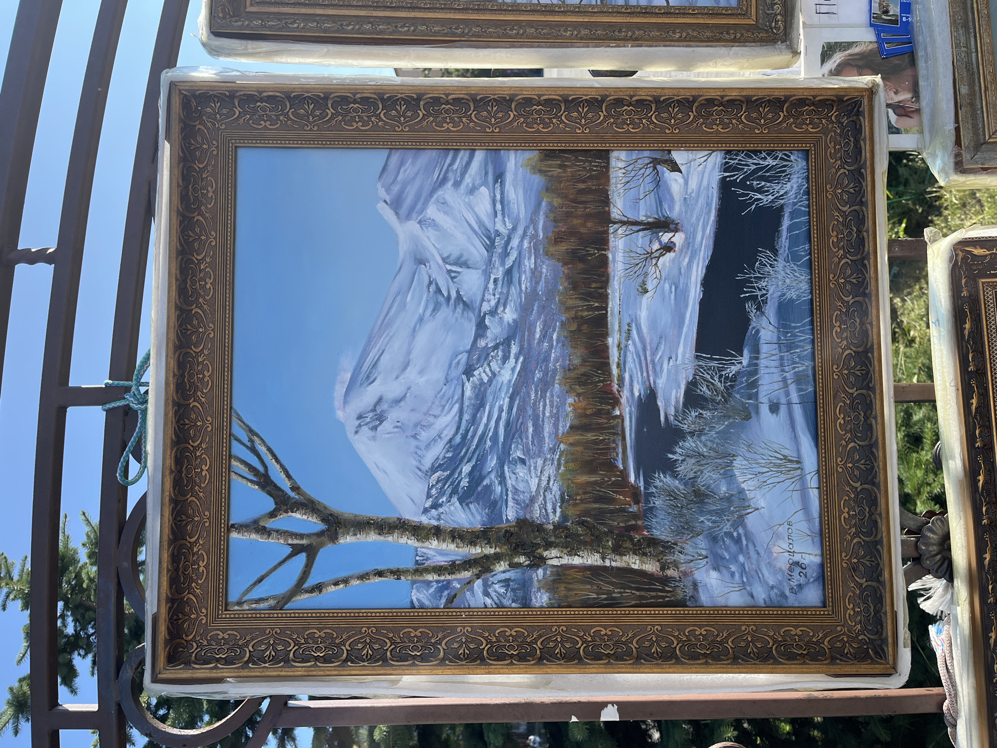 The image displays a framed oil painting of a snowy landscape, likely a representation of a location in Petropavlovsk-Kamchatsky, Russia, given the style of the artwork and the presence of similar framed paintings for sale. The painting itself features a snow-covered mountain range in the background under a clear blue sky. In the foreground, there is a body of dark water, possibly a river or lake, partially frozen over, with snow and bare trees lining its banks. A prominent birch tree with a textured trunk stands to the left of the painting. The signature "В. Мерцалов" and "26" are visible in the bottom left corner of the painting.
The painting is hung on a dark metal structure, possibly an outdoor display rack, outdoors. The structure has curved metal elements and is situated against a backdrop of green coniferous trees. The painting is covered with a clear protective plastic wrap. To the right, another framed painting is visible, also partially wrapped. In the lower portion of the image, parts of other framed artworks are visible, along with what appear to be postcards or small prints of people, including one of a woman with long hair. The overall scene suggests an outdoor art market or exhibition in an urban setting.