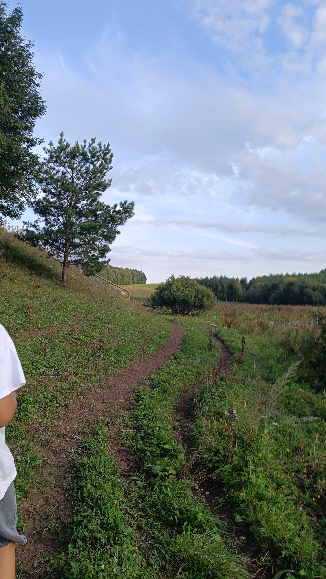 The image depicts a natural outdoor scene, possibly a park or rural area, characterized by a dirt path winding through grassy terrain under a partly cloudy sky. A lone pine tree stands on a grassy incline to the left, with other trees and dense foliage forming a distant horizon. The path is well-trodden, suggesting it is a frequently used route. The time of day appears to be late afternoon or early evening, given the quality of light and cloud formations. The scene is serene and undisturbed. There is no discernible information indicating the location of Karsha, Russia, within this image.