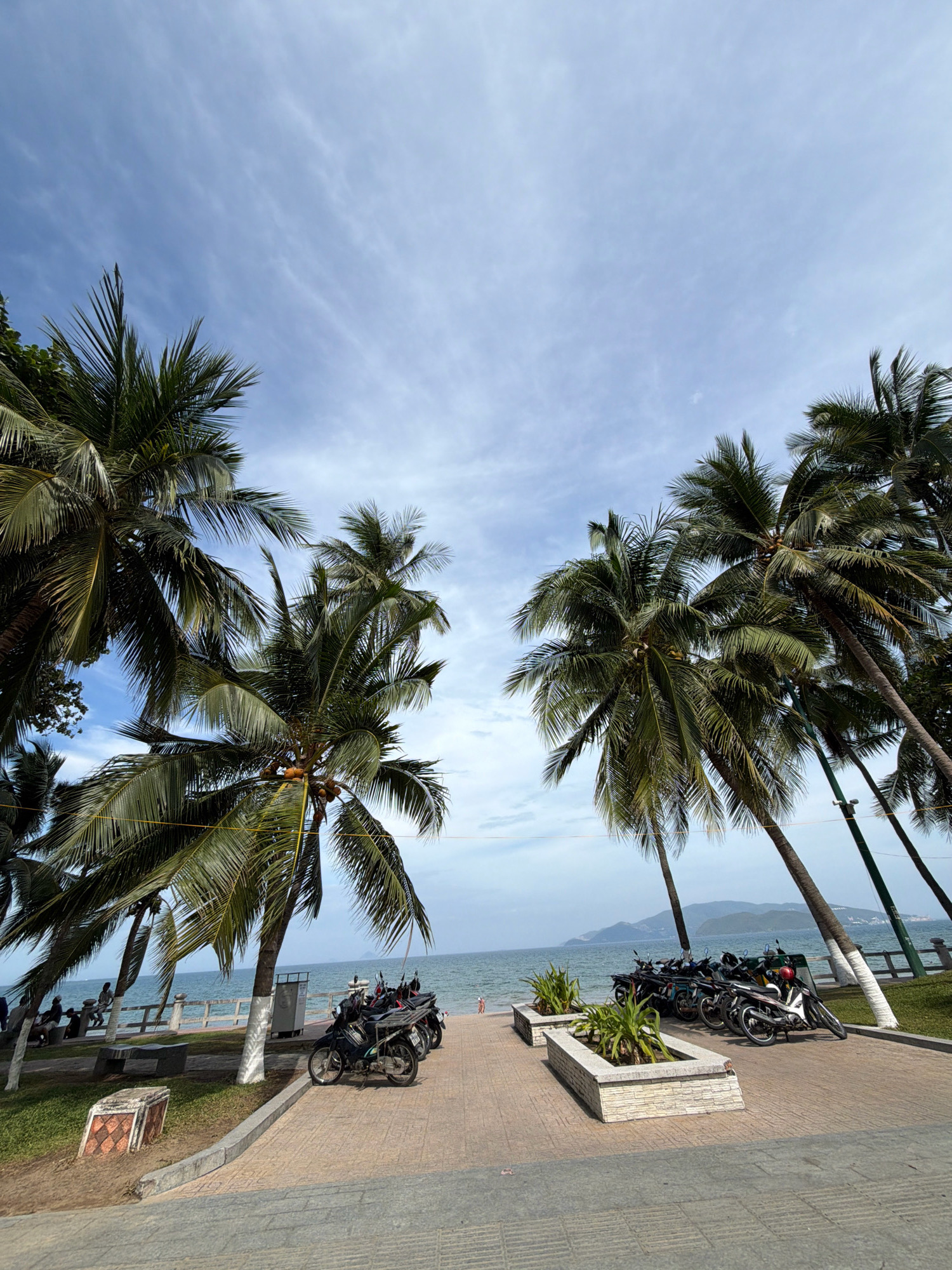The image depicts a scenic view of a beachfront promenade in Nha Trang, Vietnam, under a partly cloudy sky. Several palm trees with lush green fronds are prominently featured, some leaning towards the water. A paved walkway runs along the coast, bordered by a grassy area and a low stone wall overlooking the ocean. In the foreground, several motorcycles are parked. Along the walkway, there are planters with green vegetation and a few people can be seen sitting on benches or standing. Further along the coast, the ocean stretches to the horizon, with distant islands or mountains visible. The atmosphere suggests a tranquil day at the beach, with the presence of palm trees, the sea, and parked motorcycles indicating a popular tourist or residential area.