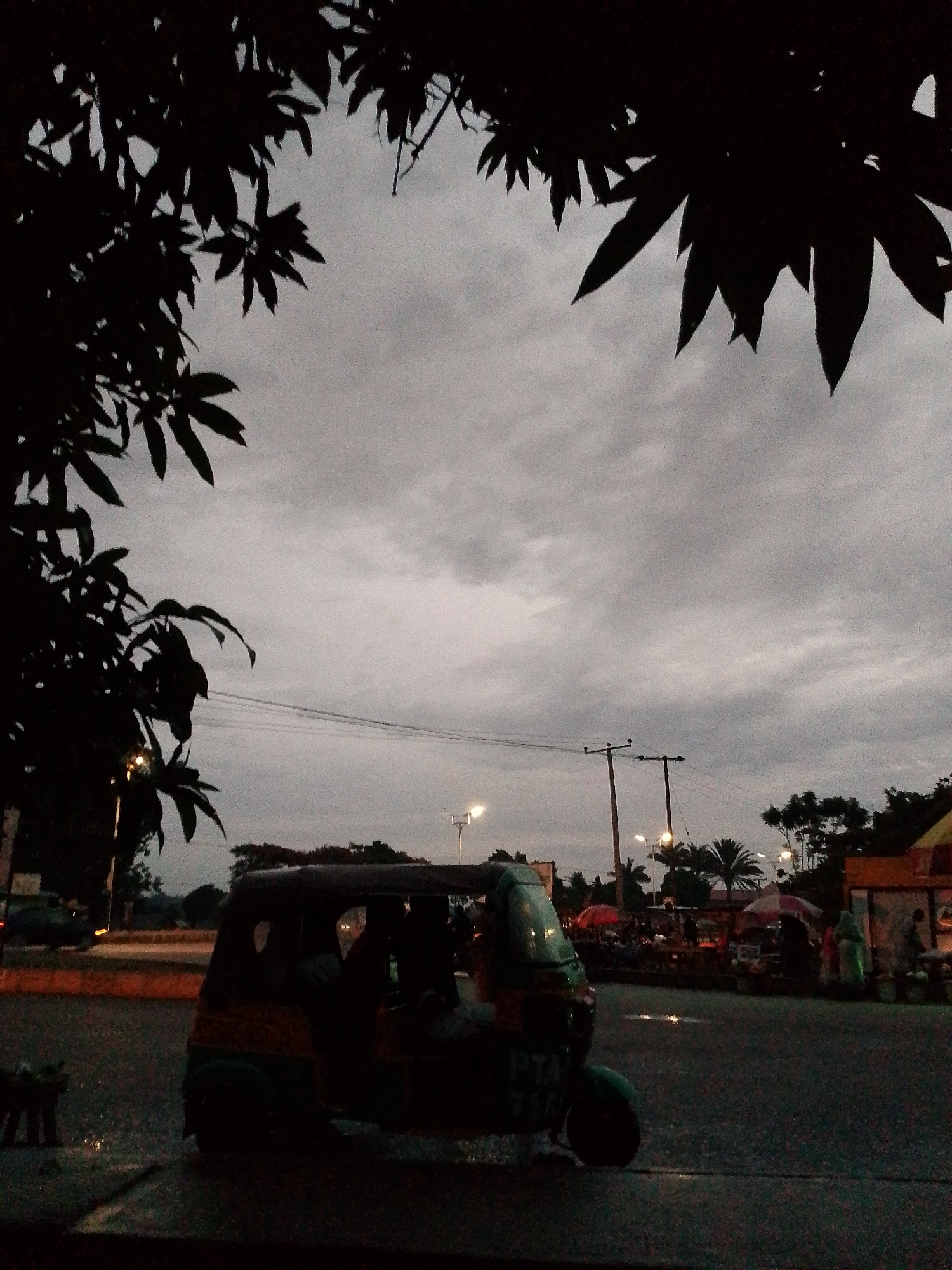 The image captures a dusky or heavily overcast scene along a roadside in Bukuru, Nigeria. The sky is a prominent feature, filled with thick, grey clouds, indicating low light conditions. The upper and left portions of the frame are dramatically silhouetted by dark, dense foliage, likely from a large tree, creating a natural frame for the view.
In the midground, an auto-rickshaw, a three-wheeled vehicle, is parked or driving slowly on the left side of a paved road. Its shape is dark against the slightly brighter background, but some green and brown hues are faintly visible on its body. Visible text on its side includes "PTA" and "356". Further down the road, several streetlights cast soft glows, indicating they are lit, suggesting the time is either early morning or late evening.
Utility poles with power lines stretch across the mid-distance. To the right, there's a glimpse of what appears to be a bustling area, possibly a market or stalls, with some colorful awnings or umbrellas (red and white) and other people's silhouettes discernible amidst faint lighting. Distant trees and structures are also visible on the horizon, largely darkened against the cloudy sky. The overall atmosphere is muted and somewhat somber due to the low light and overcast weather. No distinct activities are clearly visible, but the presence of the auto-rickshaw and potential market area suggests typical daily life in this urban or semi-urban setting.