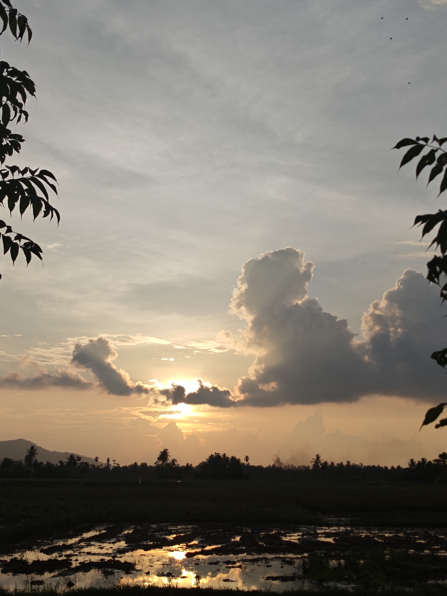 The image depicts a sunset over a rural landscape in Meunasahalue, Indonesia. The sky is filled with dramatic clouds, illuminated by the setting sun, which is partially obscured by a large, dark cloud. The lower portion of the image shows a flooded rice field, reflecting the warm tones of the sky. A silhouette of trees and a distant hill line the horizon. There are a few small birds visible in the upper sky. The foreground shows the waterlogged surface of the rice paddy, with some dried mud clumps. The overall scene is tranquil and evokes a sense of natural beauty.
