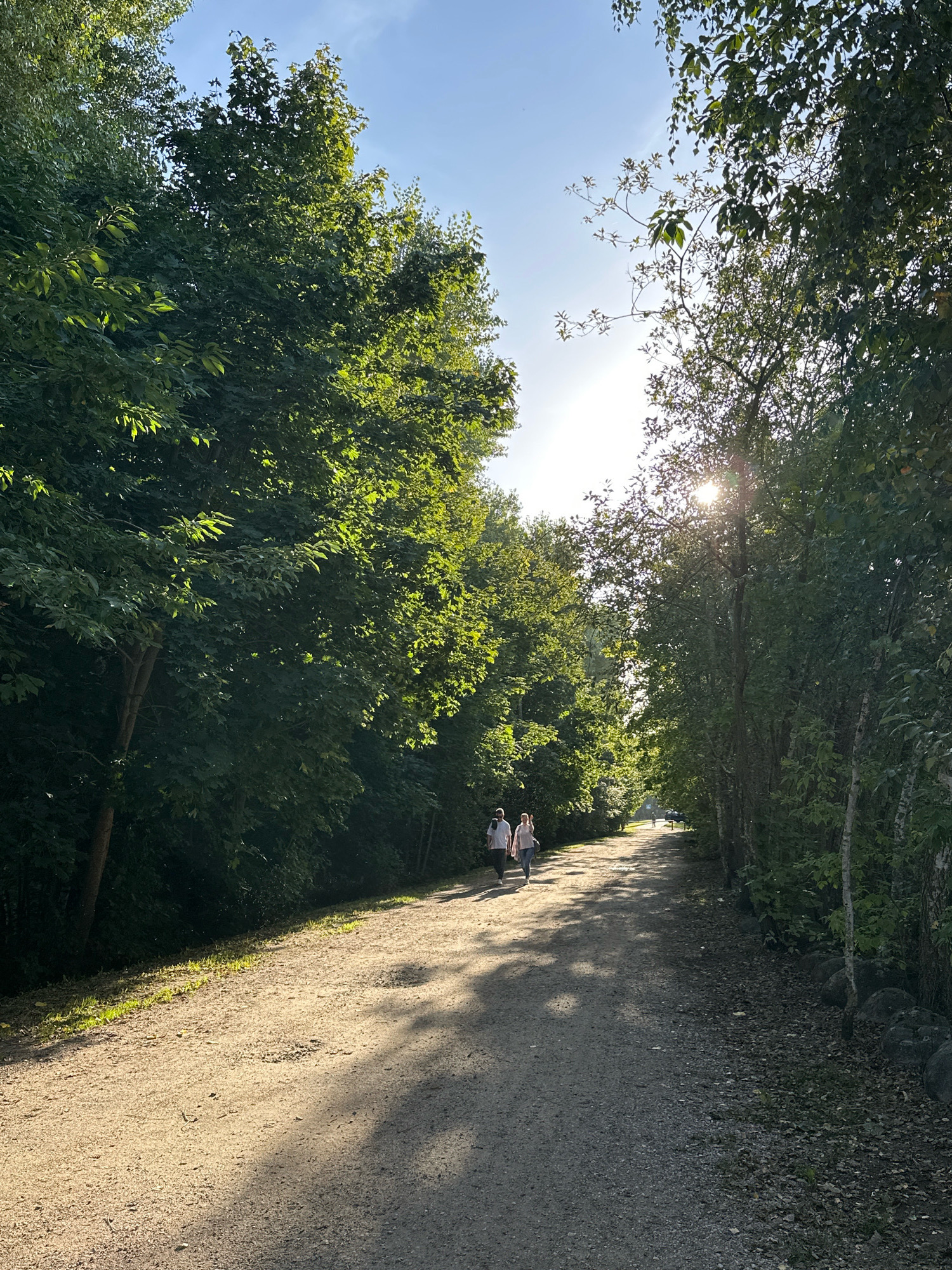 Two individuals, a man and a woman, are walking side-by-side on a gravel path that cuts through a dense, tree-lined area. The path is illuminated by sunlight filtering through the leaves, casting dappled shadows. The trees on either side of the path are lush and green, creating a natural tunnel effect. The sky is visible above, with the sun appearing as a bright, glowing orb through the foliage. In the distance, the path continues, with more trees and possibly other pedestrians visible. The scene appears to be a park or a nature trail within the Ждановіцкі сельскі Савет, Belarus.