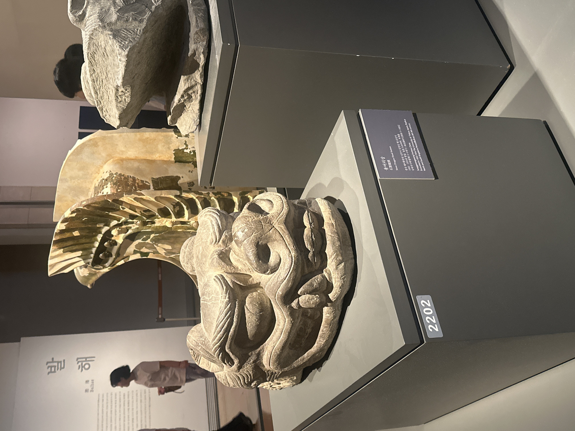 The image depicts a museum exhibit in Seoul, South Korea, likely at the National Museum of Korea, given the style and the presence of Korean text on a wall in the background. In the foreground, a stone dragon head sculpture, intricately carved with a fierce expression and sharp teeth, rests on a dark grey pedestal. Another dark grey pedestal to the right supports a rough, grey stone fragment. Behind the dragon head, a large, fragmented sculpture with earthy and metallic tones is visible, appearing to be made of ceramic or plaster. Further in the background, a woman with short dark hair is standing and looking at informational text on a white wall with Korean characters. A red rope barrier is visible behind her. The overall lighting suggests an indoor museum environment. A silver label with the number "2202" is affixed to the front of the pedestal holding the dragon head. Another information plaque in both Korean and English is attached to the front of a pedestal in the foreground, detailing the object as "Stone Dragon Head Statues" and providing historical context.