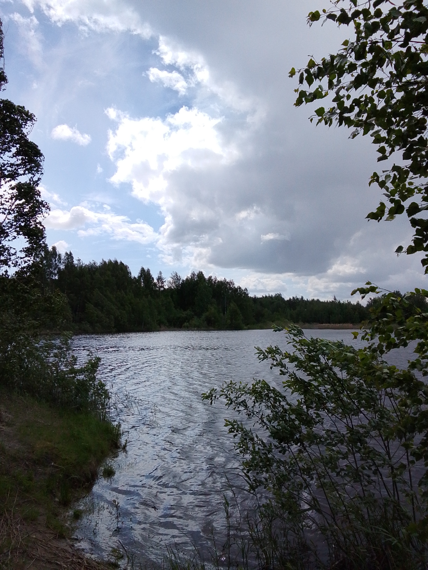 A scenic view shows a body of water, likely a lake, framed by trees on either side. The shoreline on the left is slightly elevated and covered with grass and vegetation. The water's surface is rippled, suggesting a light breeze. A line of trees and forest fills the background. The sky is partly cloudy with both bright, white clouds and darker, more ominous cloud cover.
There is no information about the location being in the city of 1-Go Maya, Russia, in the image.