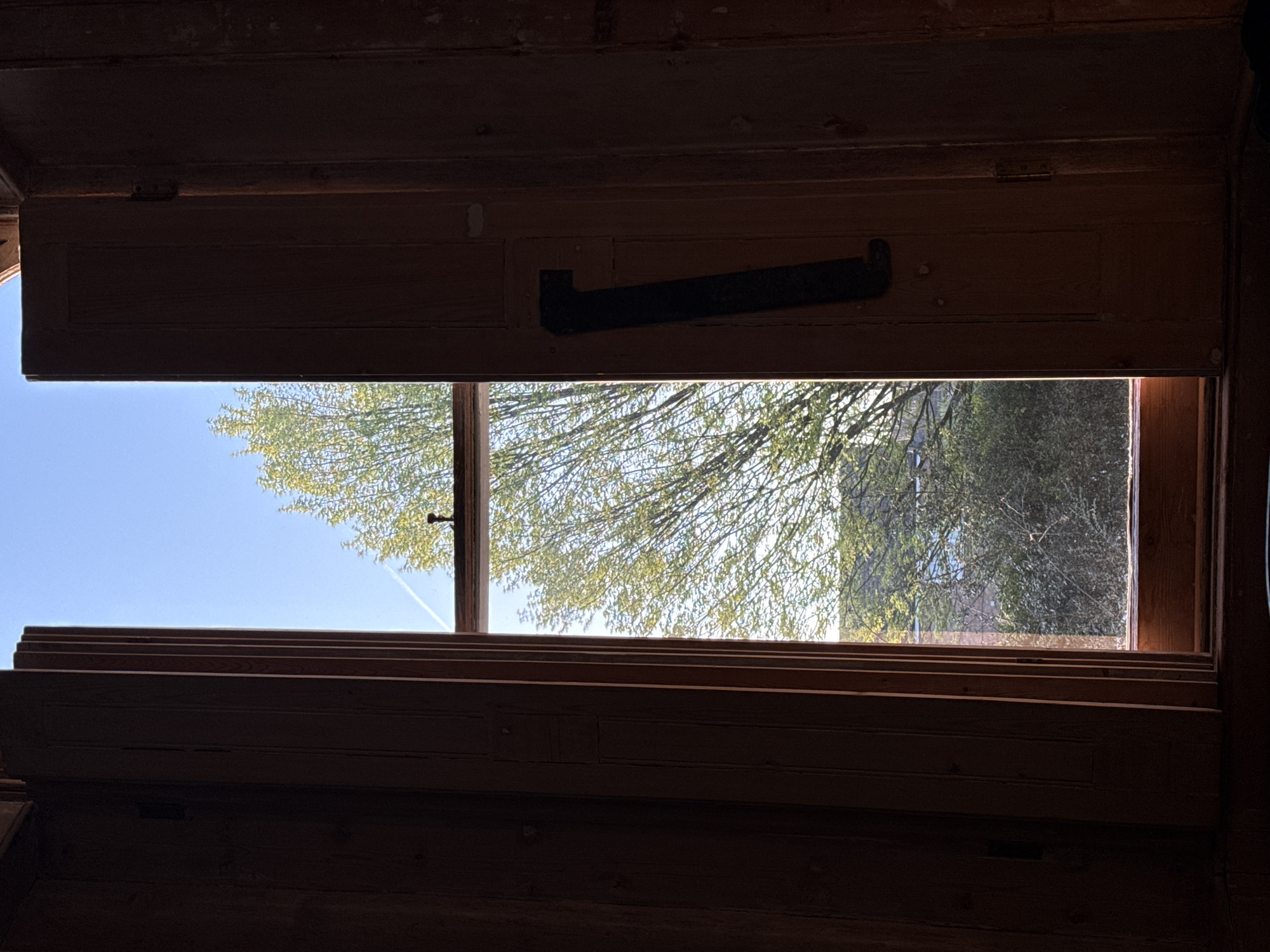 A view through an open window, likely in London, United Kingdom, shows a partial view of trees and a blue sky. The window is wooden, with a black metal latch on the upper section. The lighting is dim inside, making the details of the window frame and surrounding structure appear dark. An airplane condensation trail is visible in the sky. The environment outside appears natural with trees that may be in a yard, park, or woodland.