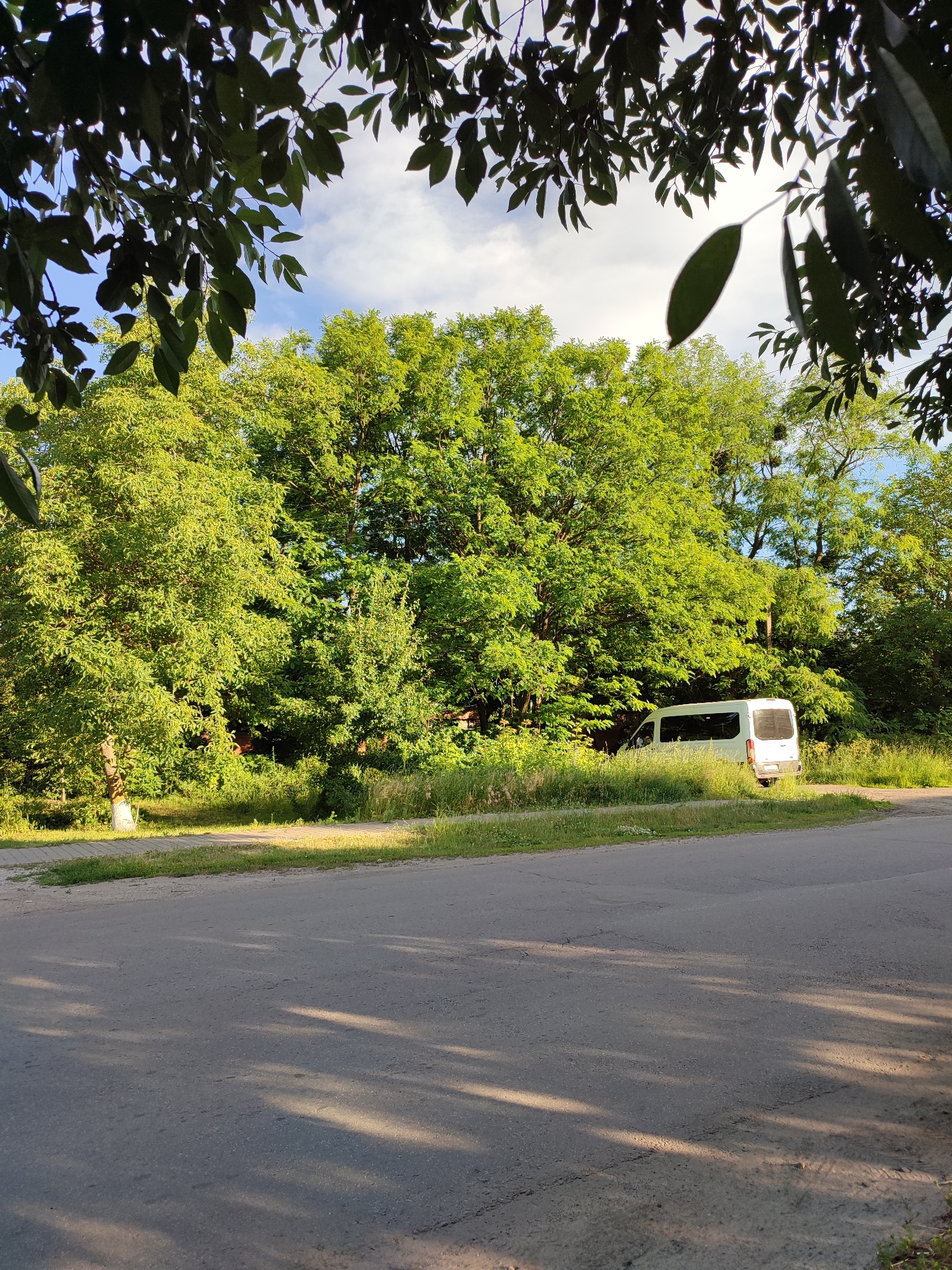 In Shyshaky, Ukraine, a white van is parked on the side of a paved road, surrounded by lush green trees and foliage. The van is positioned on the right side of the image, with its rear facing the viewer. The road surface is asphalt, showing some wear and tear, and is partially covered by dappled sunlight and shadows cast by overhead leaves. The area around the van and road is overgrown with tall grass and bushes. In the background, a dense wall of trees with vibrant green leaves forms the backdrop, reaching towards a sky with scattered white clouds. The scene suggests a rural or semi-urban setting during daylight hours.