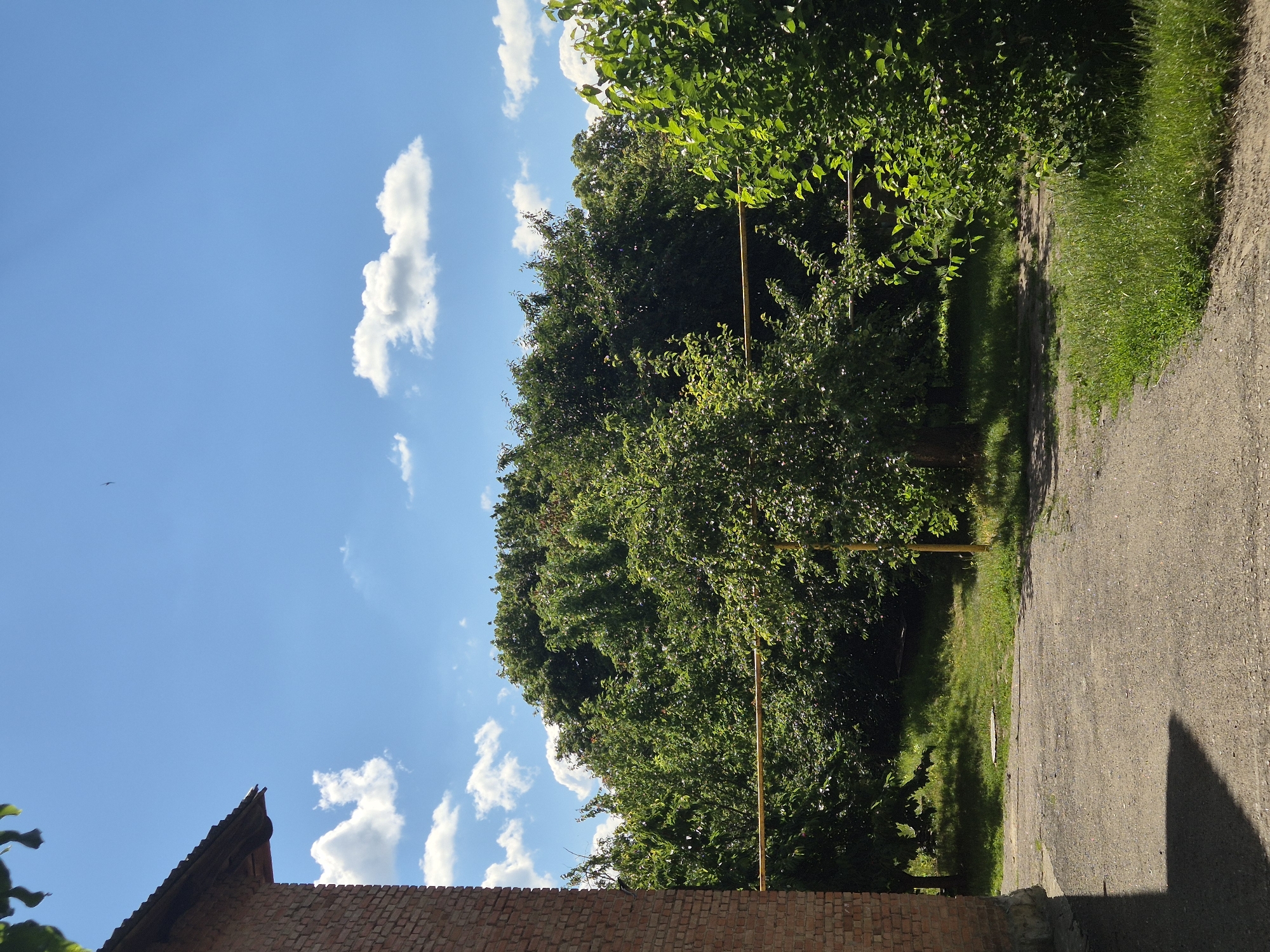 The image depicts an outdoor scene with a brick building on the left, a dense area of green trees in the center and background, and a paved area with grass on the right. The sky above is blue with scattered white clouds. A yellow pipe or wire runs horizontally through the middle of the frame, supported by a yellow pole visible on the right. The brick building has a dark roof. The paved area appears to be a pathway or yard, and the grass is well-maintained. This scene is likely located in Sozonivka, Ukraine, given the context. No people or specific actions are visible in the image.