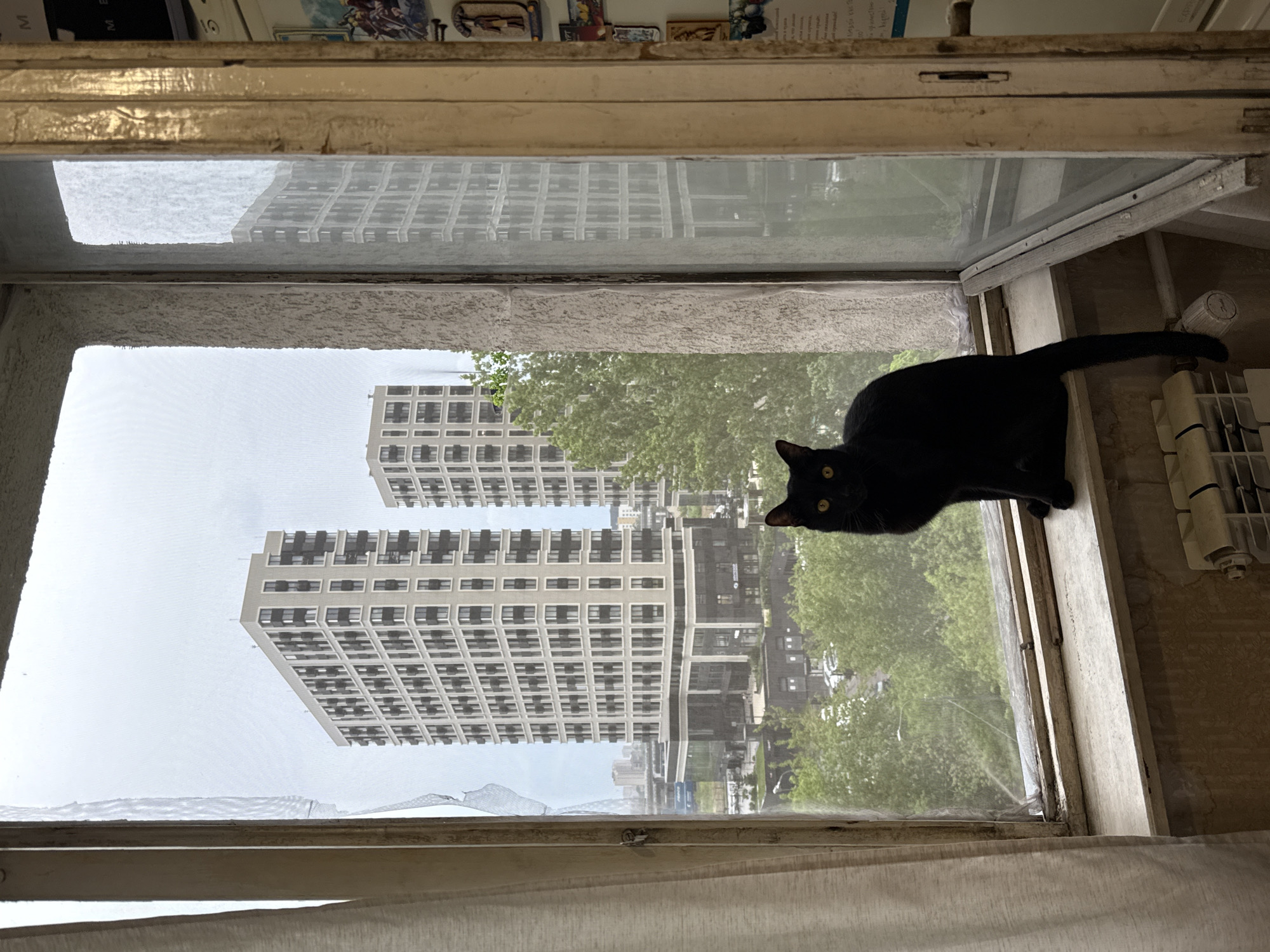 A black cat sits on an open window sill, looking toward the camera. Outside the window, tall apartment buildings are visible in the distance, along with trees and a few streets. Based on the architectural style of the apartment buildings, their relative arrangement, and the type of trees, the location appears to be in Khimki, Russia. The window has a screen with some damage near the bottom. A heating radiator and other fixtures are visible to the right of the window. The image is slightly tilted to the left.