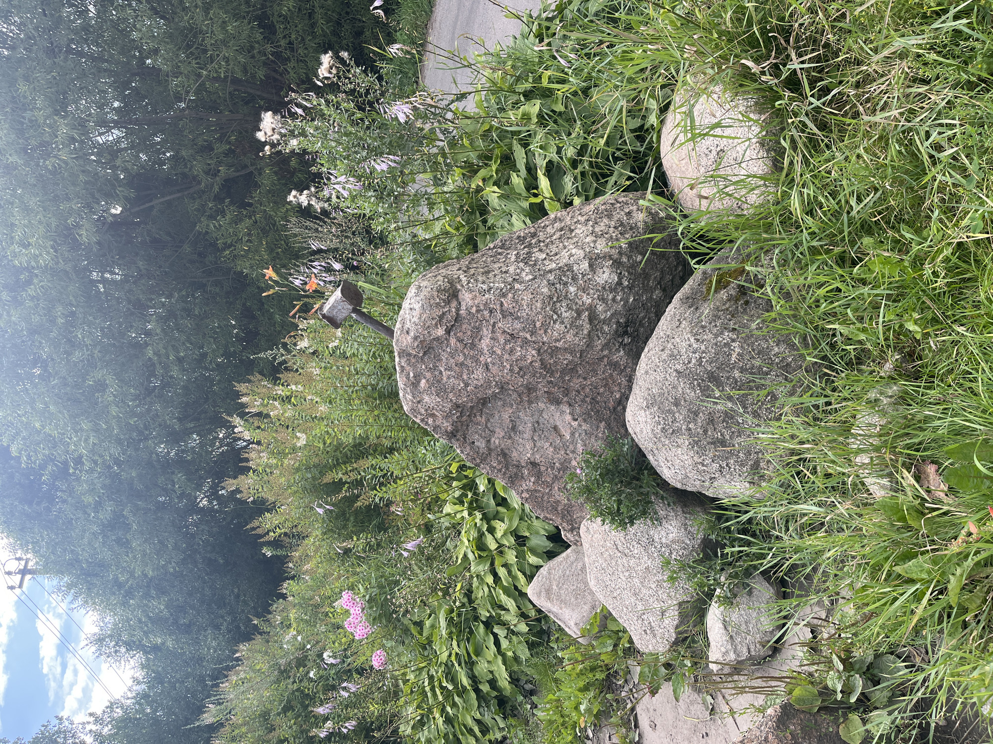 In the village of Vladimirovka, Russia, a large, rough-hewn granite boulder stands as a central feature in a lush, overgrown garden. Embedded in the top of this boulder is a metallic object resembling a hammer head, its handle extending upwards and out of view. Smaller, similarly textured stones are clustered around the base of the main boulder. The surrounding area is a riot of green foliage, with broad-leafed plants and tall grasses interspersed with delicate flowers in shades of pink and pale purple. A narrow asphalt path is visible to the right, disappearing into the dense greenery. In the background, a line of tall trees forms a natural backdrop, with a glimpse of a telephone pole and wires against a partly cloudy sky. The overall impression is one of a natural, somewhat untamed landscape, perhaps a garden or a park area, with a peculiar, man-made addition.