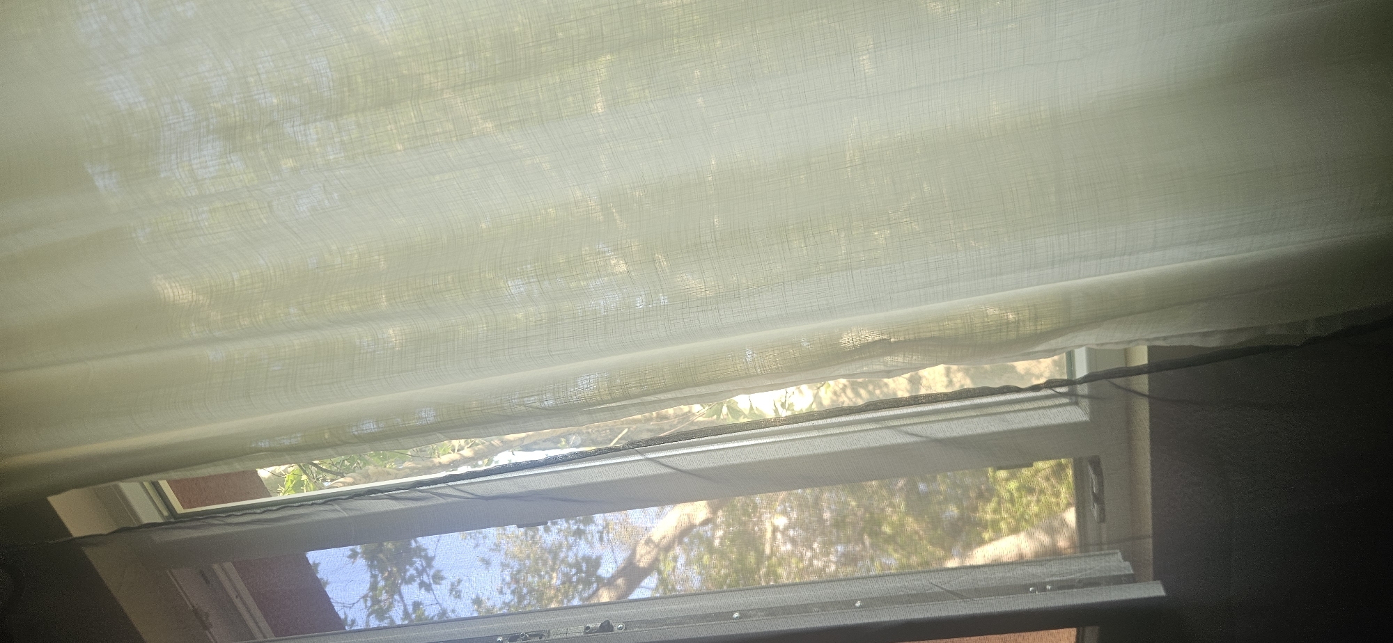 The image captures an interior view looking outwards through a window, which is partially covered by sheer white curtains or blinds. Bright daylight filters through the translucent fabric, revealing blurred outlines of trees outside.
Below the curtains, a section of the window is visible, showing a clear view of green foliage and bright skies, confirming it is daytime. The window appears to be open or has multiple panes, with a dark mesh screen visible in the lower part of the frame, possibly a fly screen. The window frame itself is white. To the far right, a dark, indistinct interior element, possibly a wall or another piece of furniture, frames the view.
No people or specific activities are depicted. The scene suggests a bright, sunny day in an indoor setting, likely in Plovdiv, Bulgaria, as per the provided context. There is no visible text in the image.