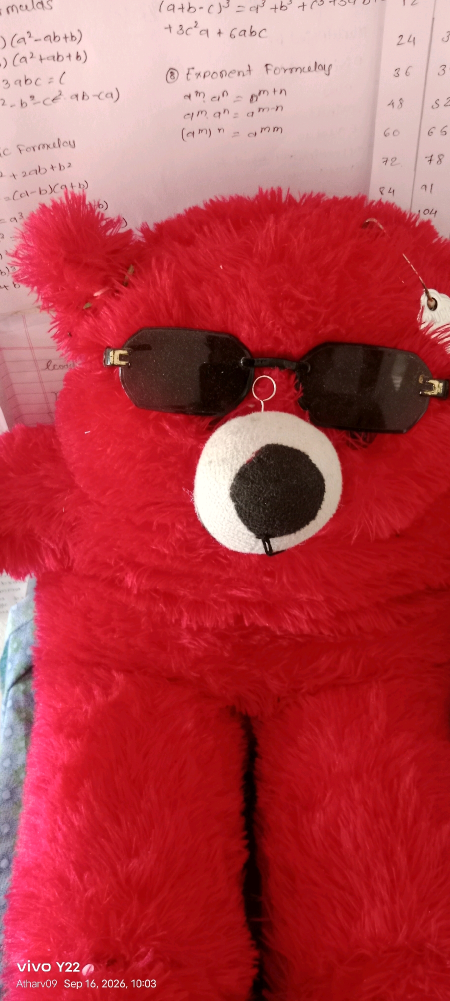 The image is a close-up of a red plush teddy bear wearing dark-rimmed sunglasses. The bear is positioned in the center of the frame. The background consists of papers with handwritten mathematical formulas and some numerical data. The lighting is overhead and casts subtle shadows. The timestamp "Atharv09 Sep 16, 2026, 10:03" and "vivo Y22" are visible in the bottom left corner, indicating the date and device used for the photograph. There is no indication of the city of Pohi, India, within the image.