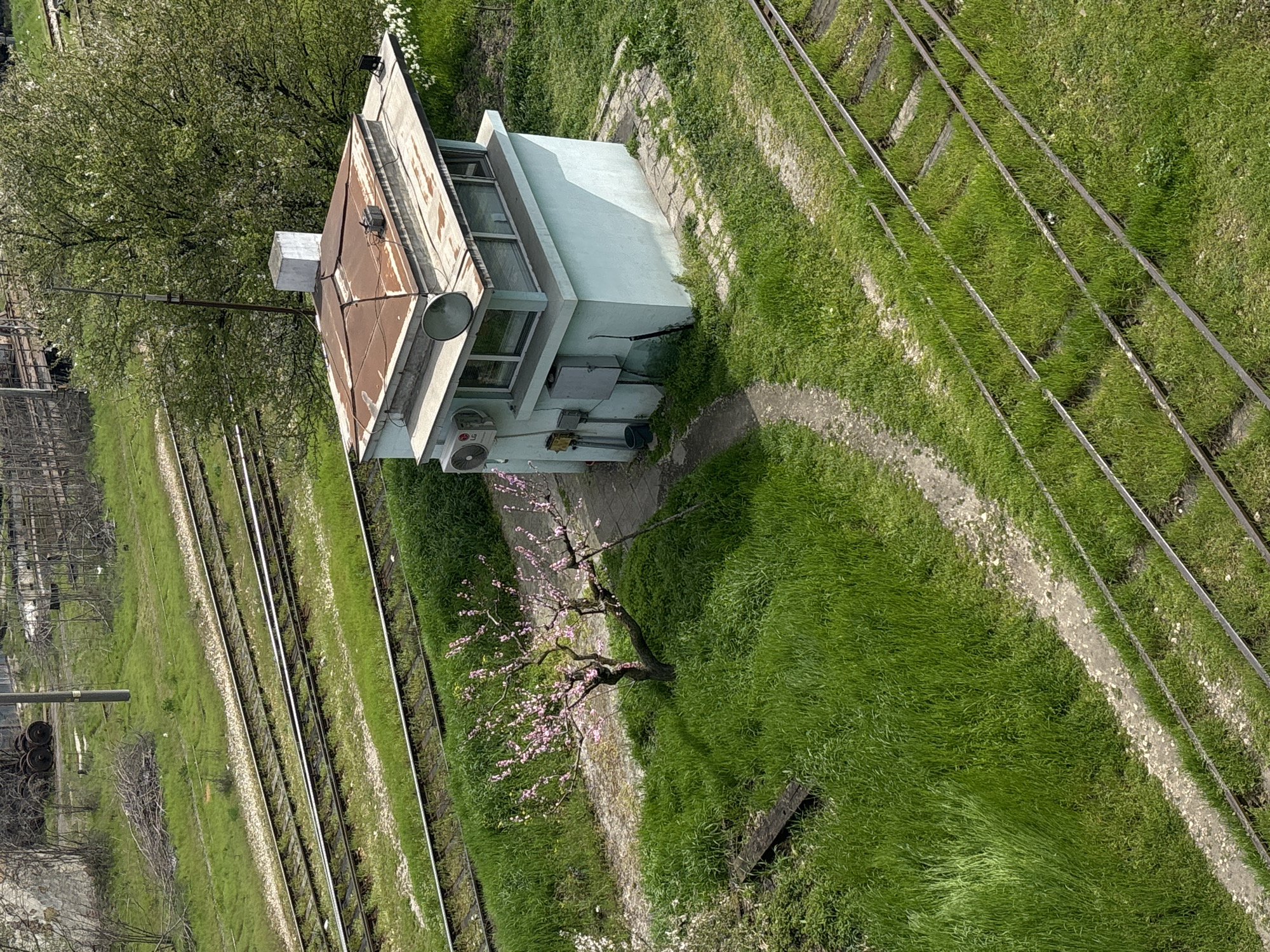 The image shows a small, light blue control building situated near multiple sets of parallel railway tracks. The building has a rusty metal roof, windows on two sides, and an LG-branded air conditioning unit mounted on an exterior wall. A small tree with pink blossoms stands near the building. The area surrounding the building and tracks is overgrown with green grass and weeds, with evidence of some concrete pathways. In the background, some indistinct structures and greenery are visible. The location is in Varna, Bulgaria.