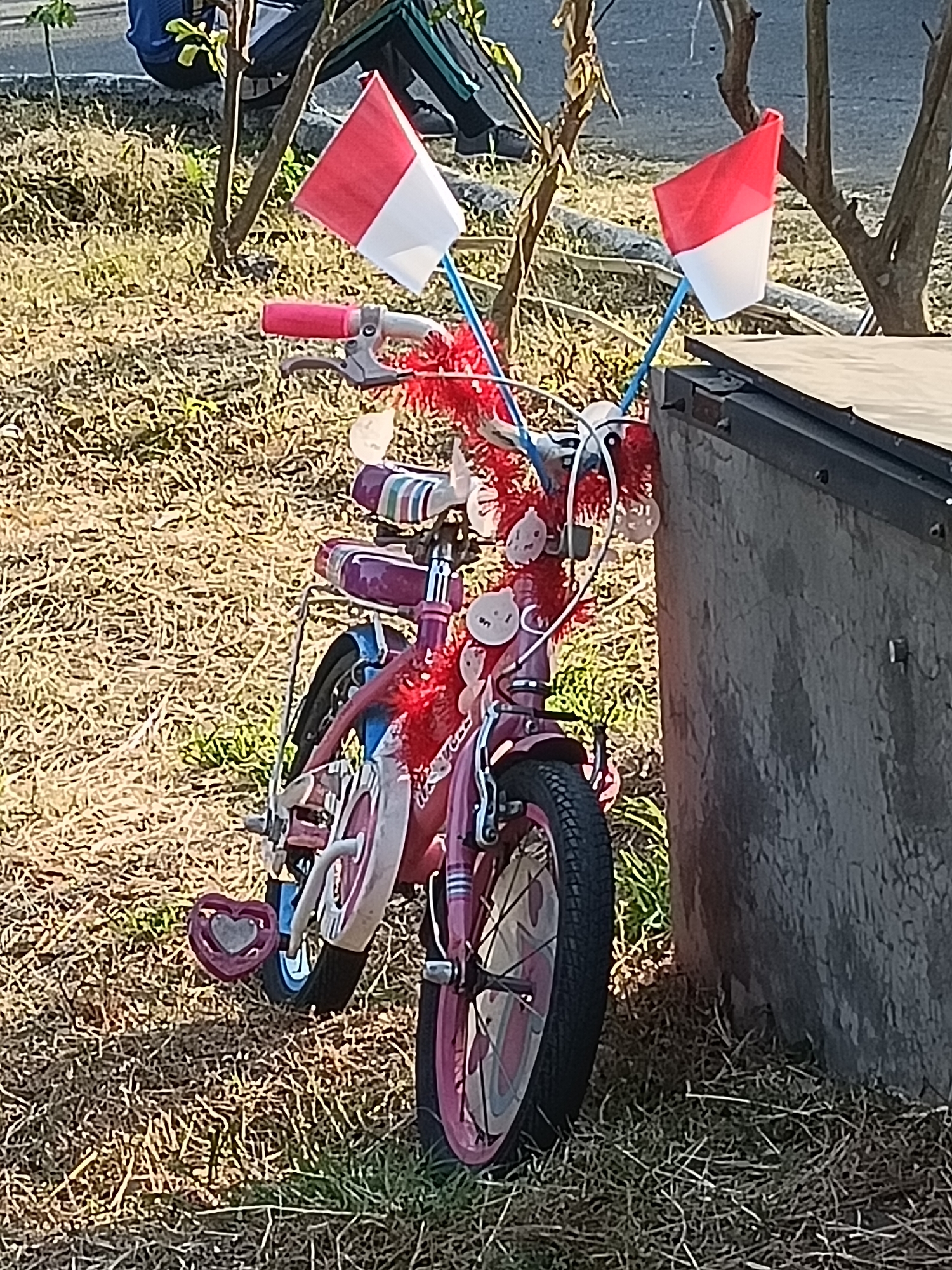 A pink bicycle with red and white flags and red streamers is parked on dry grass next to a concrete structure. The bicycle has training wheels and a heart-shaped pedal. In the background, a person wearing a blue shirt is partially visible. The scene appears to be outdoors, possibly in a park or residential area.