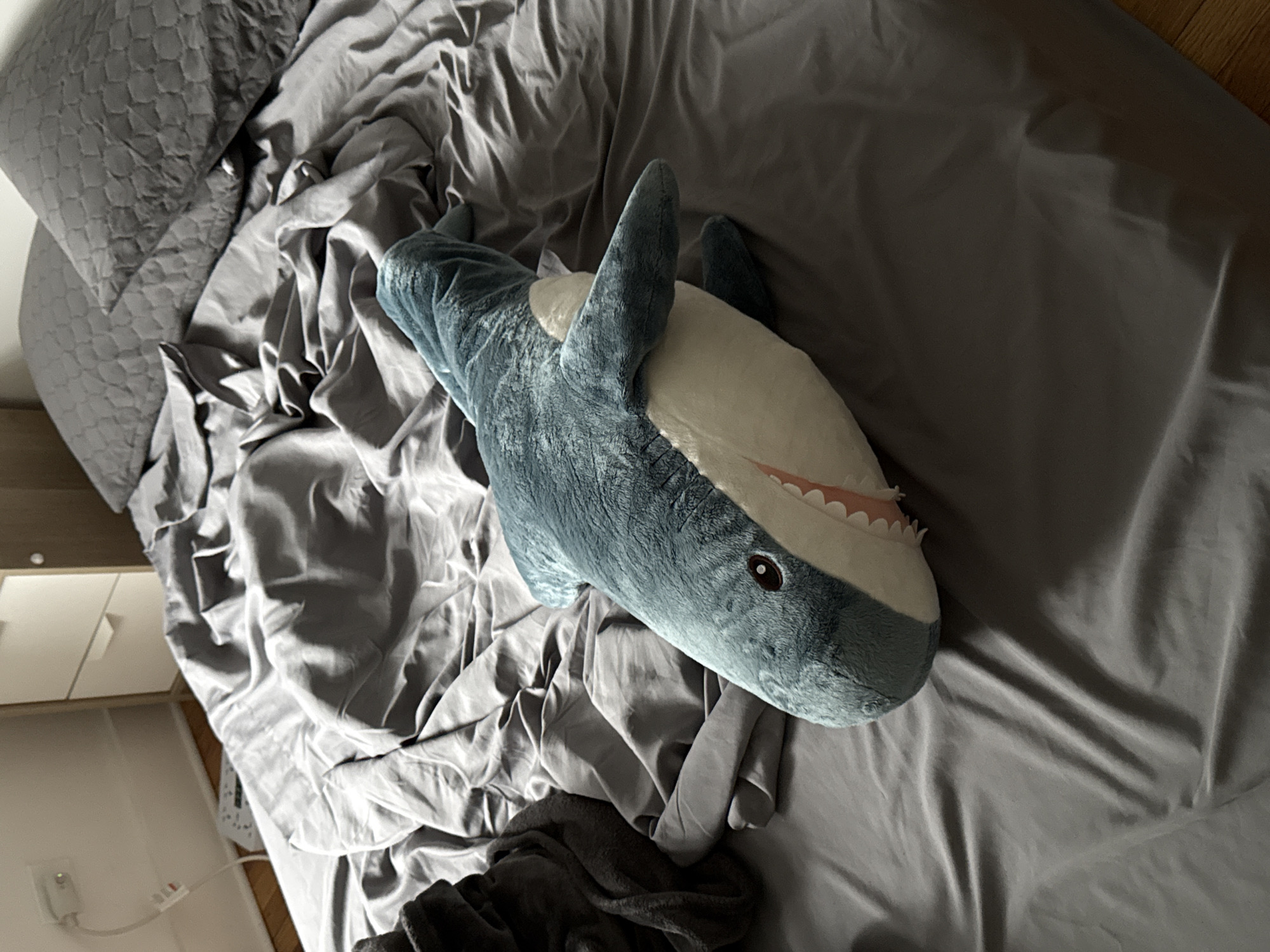 A stuffed blue shark toy lies on a rumpled grey bed. The bed is covered with a grey sheet and there are two grey pillows with a honeycomb pattern on the right side of the image. To the left of the bed, a dark grey blanket is folded. In the background, a white dresser with two drawers is visible. The wall behind the dresser is white and there is an electrical outlet with a white cord plugged into it. The flooring appears to be hardwood. The scene is indoors, likely a bedroom.