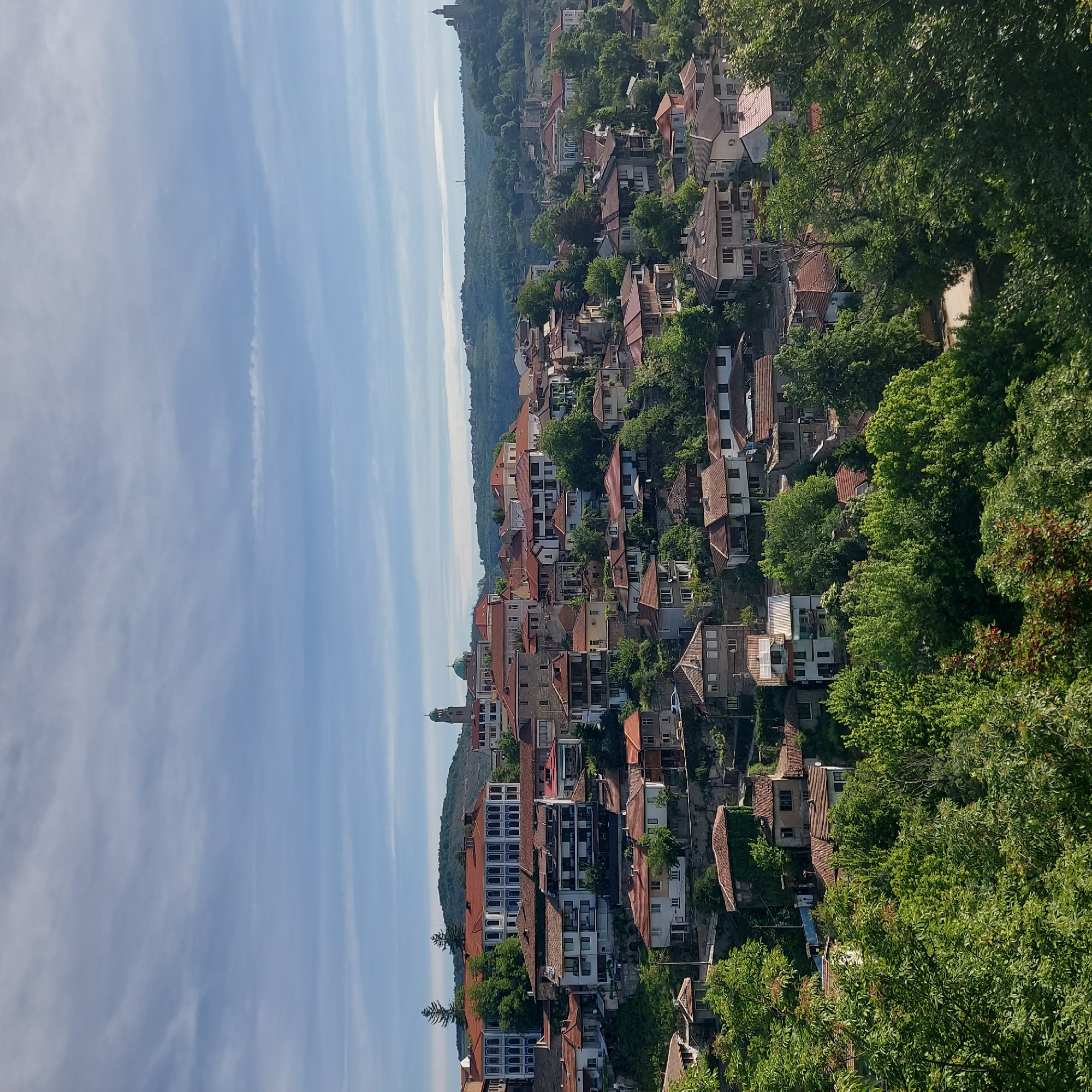 This image depicts the city of Veliko Tarnovo, Bulgaria, situated on a hilly landscape. The scene consists of numerous houses with red-tiled roofs nestled among lush green trees. The houses vary in size and architectural style, and appear to be closely situated on the hillsides. The sky above is light blue with streaks of clouds. At least two church spires can be seen amongst the landscape. The foreground is dominated by foliage.