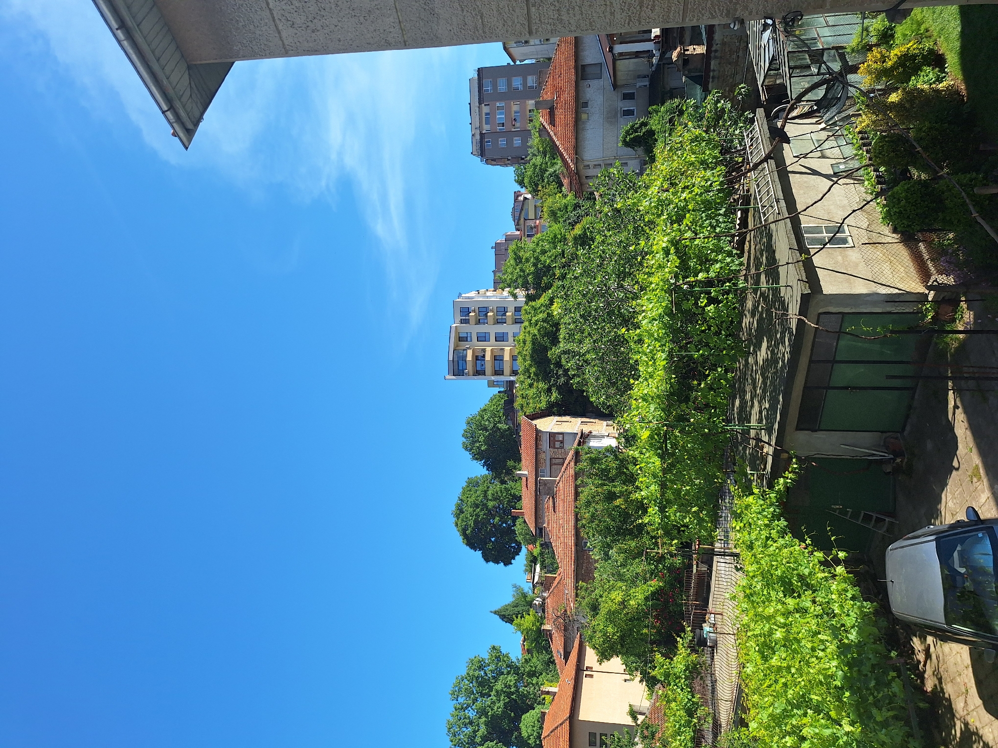 The image captures a sunny day in a residential area of Varna, Bulgaria. The scene is dominated by a clear blue sky with a few wisps of clouds. In the foreground, a silver car is parked on a paved surface, adjacent to a low-rise building with green garage doors and a fenced yard. Overhanging this building is a lush green canopy of grapevines, supported by a metal structure.
Further into the background, traditional houses with red tile roofs are nestled amongst mature trees, creating a sense of a well-established neighborhood. Beyond these, modern apartment buildings with balconies rise above the greenery, indicating a mix of old and new architecture. The overall impression is one of a peaceful, lived-in urban environment bathed in sunlight.