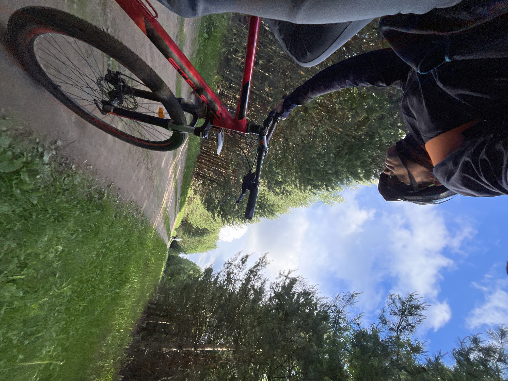 The image depicts a first-person, low-angle perspective from a mountain bike, with the camera looking upwards towards the rider and the sky. The scene is set on a dirt path in a natural, tree-lined environment, located in Chaikovsky, Russia.
In the foreground, a prominent red mountain bike is visible. Its front wheel, equipped with a disc brake system, is angled towards the left, resting on the dirt path. The red frame features black accents, and the brand name "STELS" is clearly legible in black text on the downtube. The handlebars with grips and brake levers are visible, with a rider's right hand gripping them.
The rider, wearing a dark long-sleeved top and a dark helmet, is partially visible, suggesting an active cycling experience. Beyond the bike and rider, the dirt path extends into the distance, flanked by areas of vibrant green grass. A dense line of tall coniferous trees borders the path and reaches upwards, forming a natural canopy against a bright blue sky. Scattered white, fluffy clouds are visible across the clear sky, indicating pleasant daytime weather, likely mid-morning or afternoon. The overall impression is one of an enjoyable outdoor adventure or trail ride.