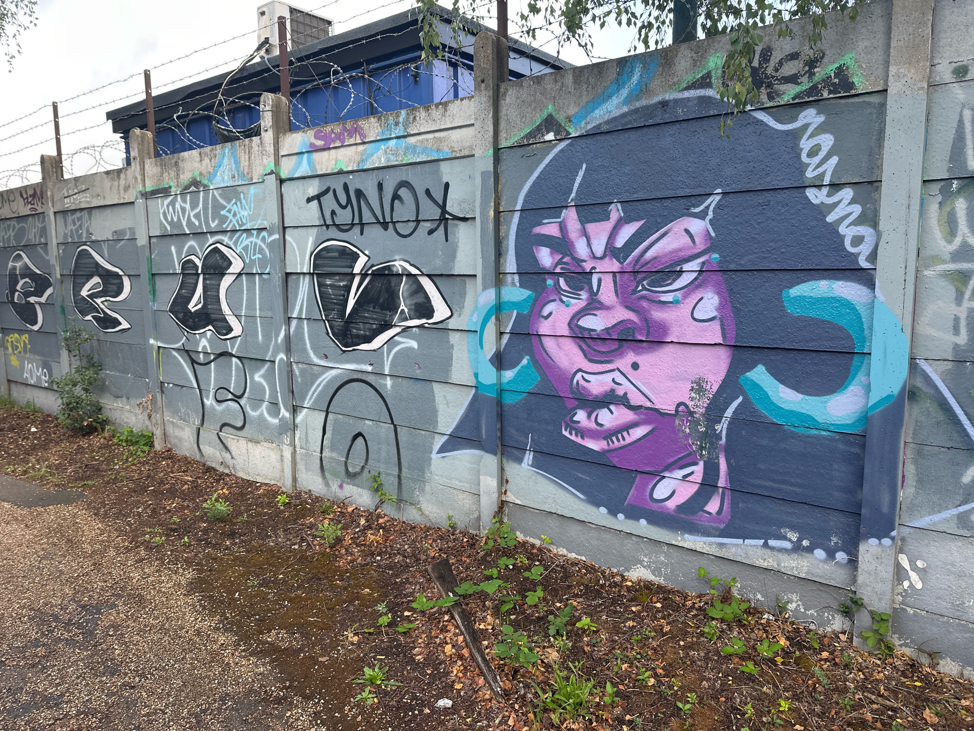 The image depicts a section of a grey concrete wall covered in graffiti, situated in London, United Kingdom. The wall is approximately two meters high and stretches horizontally across the frame. Barbed wire is visible along the top edge of the wall, suggesting it may be a boundary or security feature.
The graffiti on the wall is varied. On the left side, there are several large, stylized black and white letters, appearing to be tag names. Further to the right, the word "TYNOX" is written in black capital letters. The most prominent piece of graffiti is a large, colorful depiction of a person's face with purple skin and dark hair, featuring bold lines and bright blue accents. To the right of this central figure, there is a white script writing on a dark background, with the letters "marna" being legible. There are also some spray-painted abstract shapes and tags in blue and green.
The ground in front of the wall is a mixture of gravel and dirt, with some patches of green vegetation growing. Fallen leaves and twigs are scattered across the ground, indicating an outdoor environment that may be somewhat unkempt. In the background, behind the wall, a blue structure with a corrugated roof and ventilation units is visible, suggesting an industrial or commercial area. The sky is overcast and light-colored. There are no people visible in the image. The overall scene conveys an urban, gritty atmosphere, typical of areas where street art is prevalent.