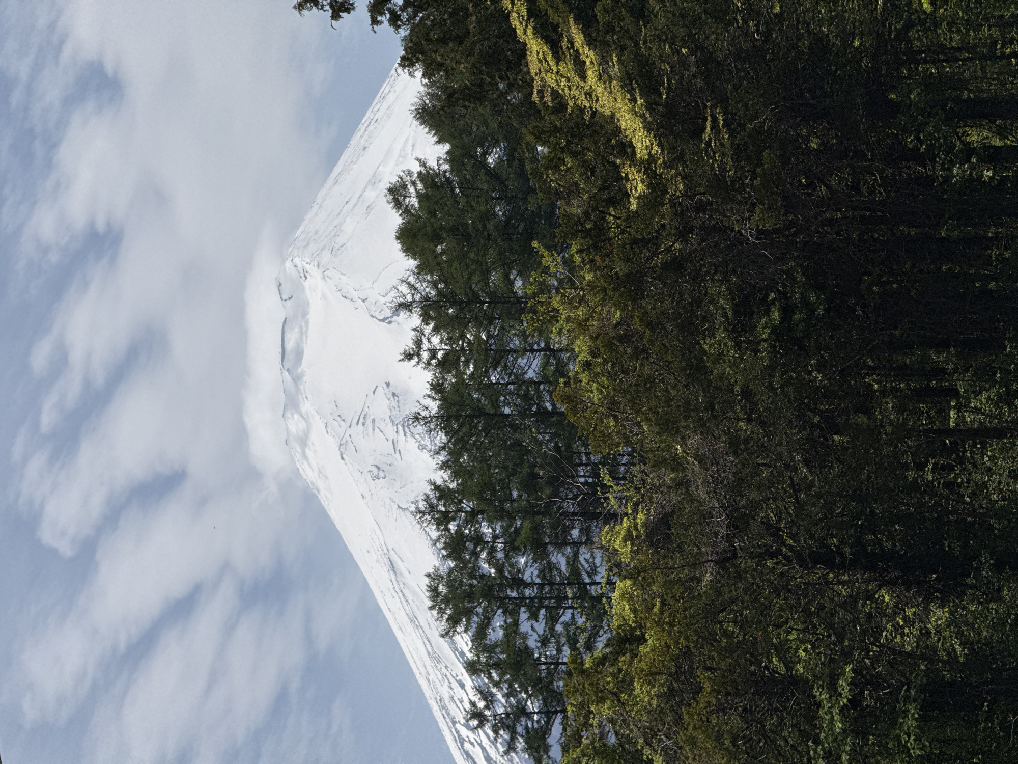 A serene landscape photograph, captured during daylight hours, features the iconic Mount Fuji rising majestically against a sky with scattered clouds. The image is oriented such that the snow-capped, conical peak of the mountain dominates the left side of the frame, its white slopes textured by snow and ice. The summit is partially veiled by soft, wispy clouds or mist, creating an ethereal aura.
To the right, a dense, evergreen forest stretches from the bottom to the top of the frame, creating a striking contrast with the snow-white mountain. The trees are predominantly dark green, with patches of brighter green foliage indicating areas illuminated by sunlight. The forest appears thick and lush, hinting at the natural surroundings of the Fujiyoshida area in Japan.
The sky in the upper left quadrant is a light blue with streaks of white clouds. No human subjects, man-made objects, or discernible text are visible. The scene evokes a sense of tranquil grandeur, showcasing the natural beauty of the Japanese landscape with fair weather conditions, although the mountain's peak has some cloud cover.