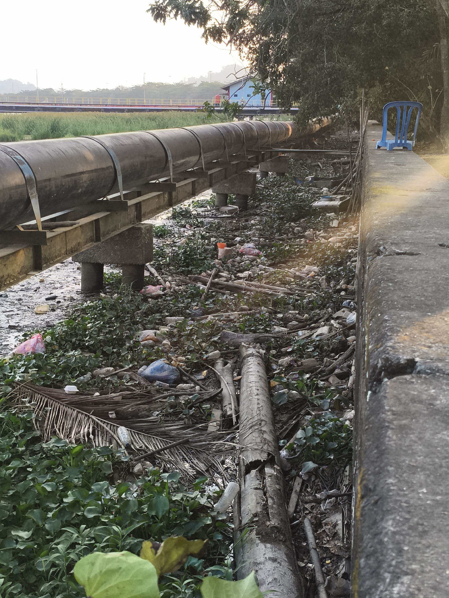 The image depicts a canal filled with debris and vegetation, located in the city of Samarinda, Indonesia. A large pipe supported by concrete pillars runs along the left side of the canal, elevated above the water and rubbish. The canal itself is choked with green aquatic plants, fallen branches, and various forms of plastic waste, including bags, bottles, and containers. Some of these items are partially submerged in the murky water. A concrete walkway runs along the right side of the canal, with a blue plastic chair positioned on it near the top right of the frame. In the background, a blue building with red accents is visible, along with a bridge and some trees. The lighting suggests it is either early morning or late afternoon, with soft sunlight filtering through the trees. The scene conveys a strong sense of pollution and neglect within an urban waterway.