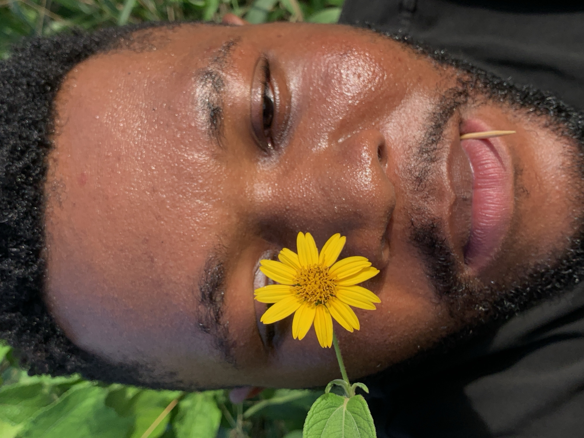 A close-up, eye-level shot captures a Black man lying in a grassy area. He is positioned on his side with his face turned towards the camera, revealing moist skin and closed eyes. A yellow daisy is positioned between his nose and eye, and a toothpick is held in his mouth. The background includes green grass and a dark fabric, possibly clothing. The location, Ikorodu, Nigeria, cannot be verified from the given visual context.
