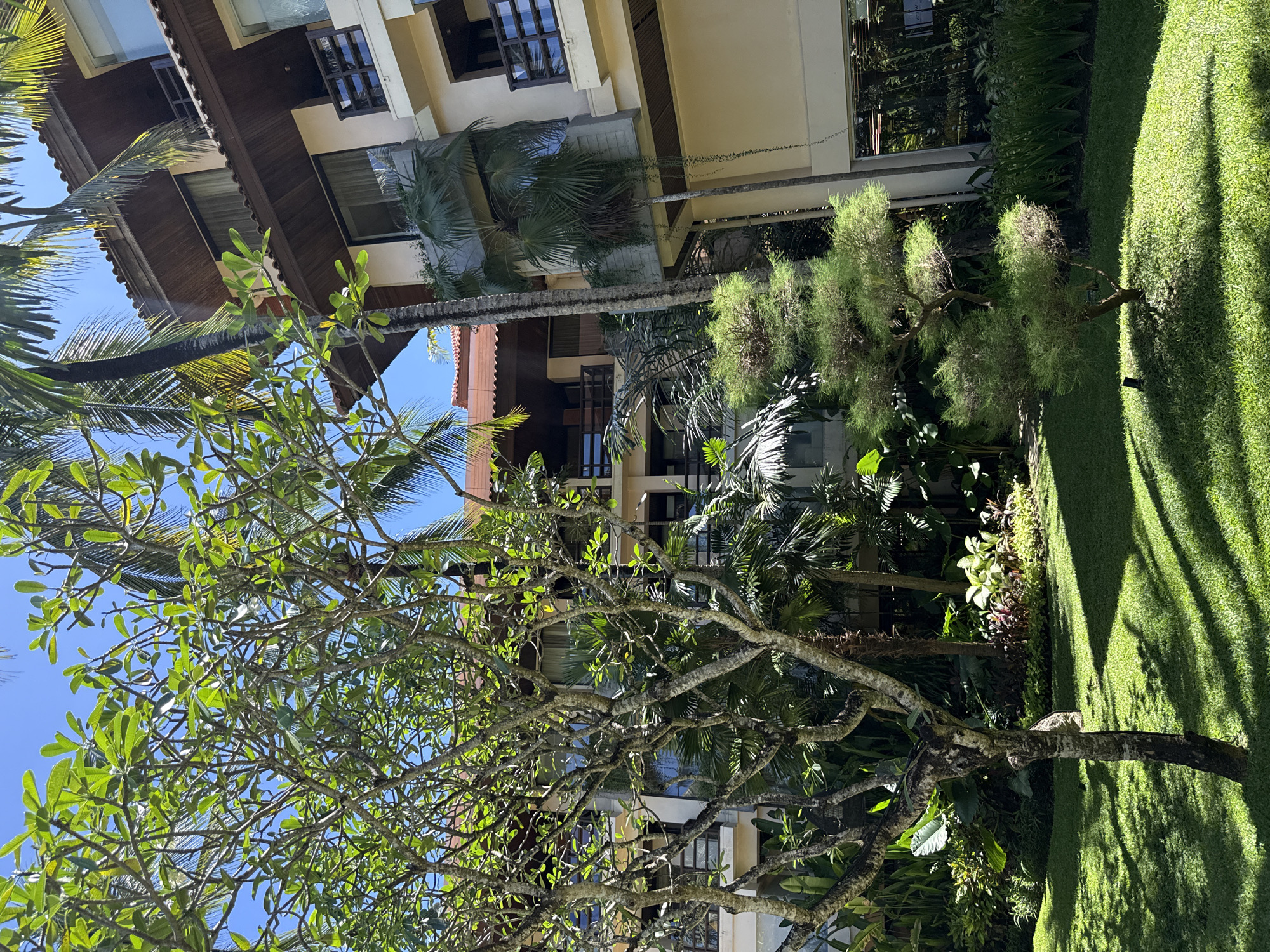 The image depicts a sunny outdoor scene in Nusa Dua, Indonesia. The foreground features a large tree with green leaves and visible branches. Behind the tree, there is a multi-story building with a combination of beige and brown wooden architectural elements. Palm trees are interspersed among the building's balconies and windows. The building appears to be a resort or hotel. There is a well-manicured lawn in the background with other tropical trees and greenery surrounding it. The sky is visible in the upper left corner and is a clear blue. There are no people visible in the frame.