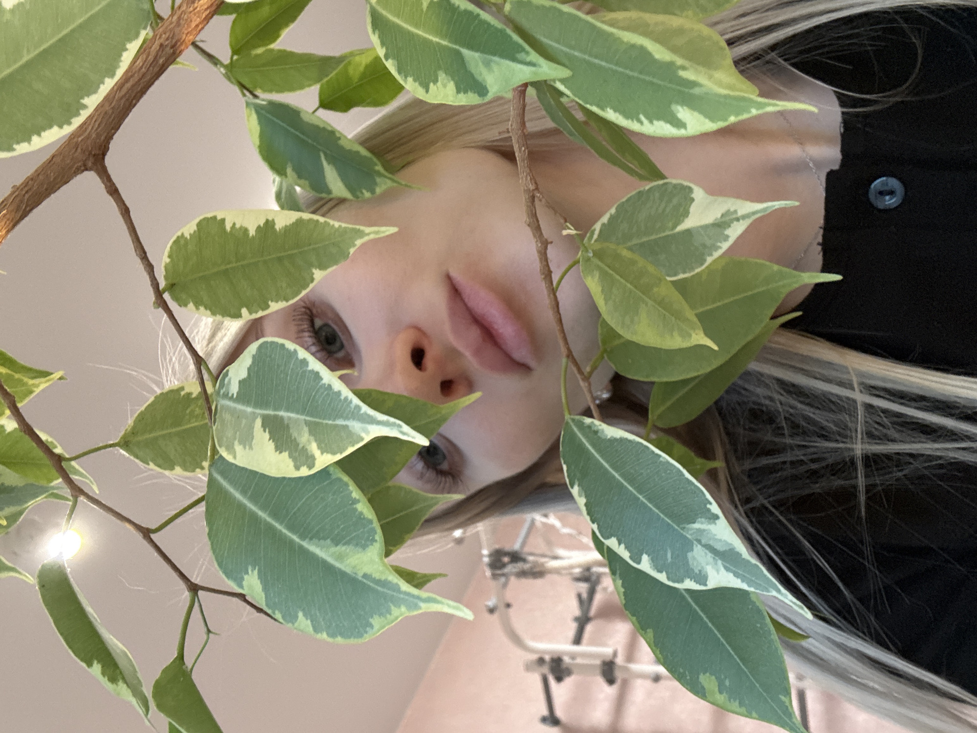 A low-angle view depicts a young woman with blonde hair partially obscured by a variegated ficus plant. Her face, including her eyes, nose, and lips, is visible through the foliage. She is wearing a black shirt, with a button visible on the shoulder. Behind her, out of focus, are blurred elements of what appears to be a metal structure with wheels. The location is not identifiable as Izhevsk, Russia, based on visual information.