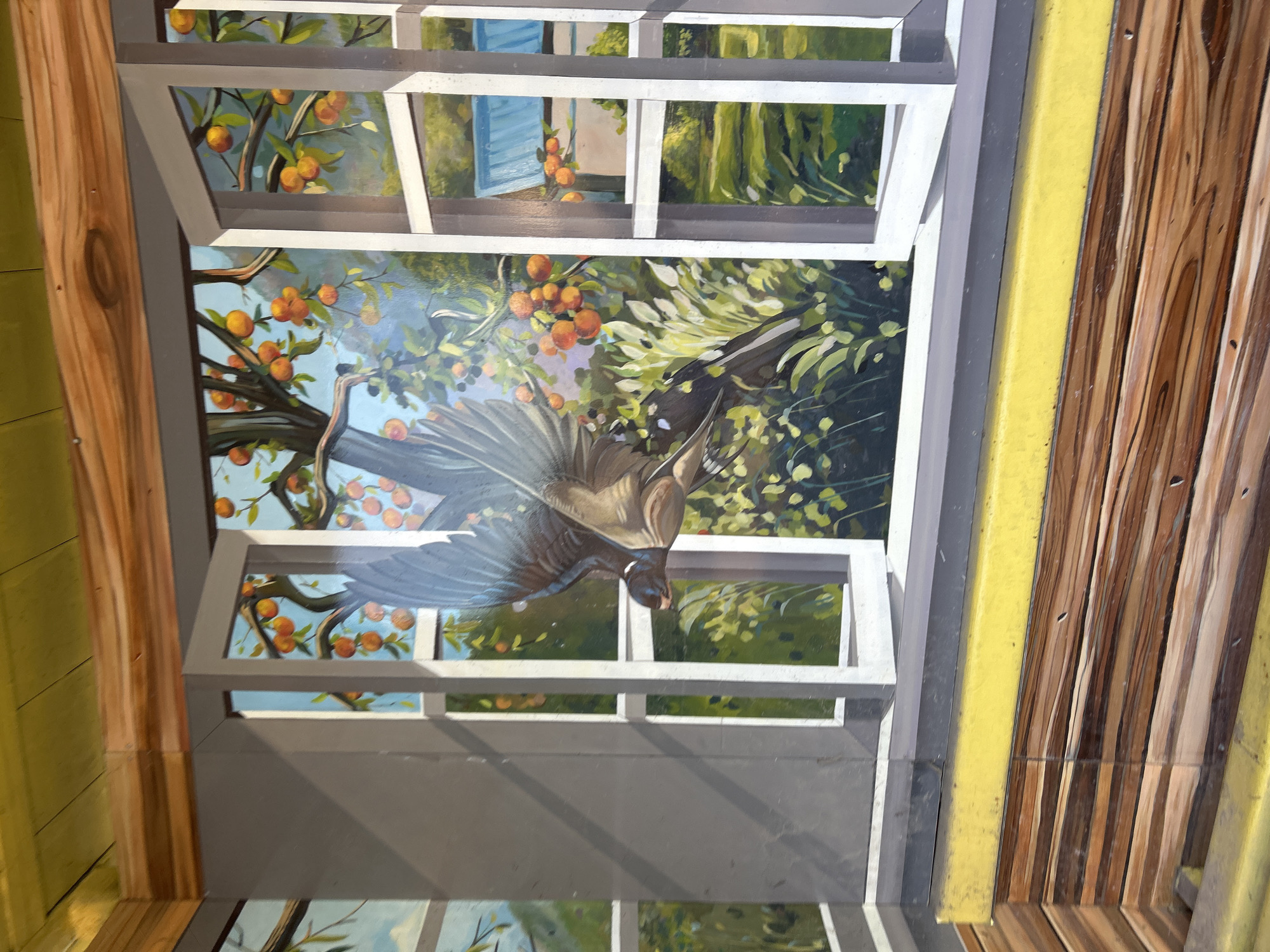 This is a detailed mural painting depicting a trompe-l'œil scene viewed through an open window. The focal point is a bird in flight, with outstretched wings, appearing to emerge from the painted window into the viewer's space. The bird has brown and grey feathers with white accents on its wings and tail.
Through the window, a lush garden scene is depicted. An orange tree laden with ripe fruit is prominently featured, with some branches extending into the foreground near the bird. The background shows more greenery, a blue-roofed building, and a hint of mountains or distant hills under a bright blue sky. The window frame is painted white and is slightly ajar.
The mural extends to the foreground, creating a sense of depth. The sill of the window is painted a bright yellow, and below it, the wall is rendered to look like horizontal wooden planks, adding to the illusion of a physical space. The perspective suggests the mural is on a corner, as parts of the wooden plank wall are visible on the left and right sides, turning inward. The ceiling above the window is painted to resemble wooden beams and planks. The overall style is realistic, aiming to deceive the eye into believing the scene is real. The location is Unknown, Unknown.