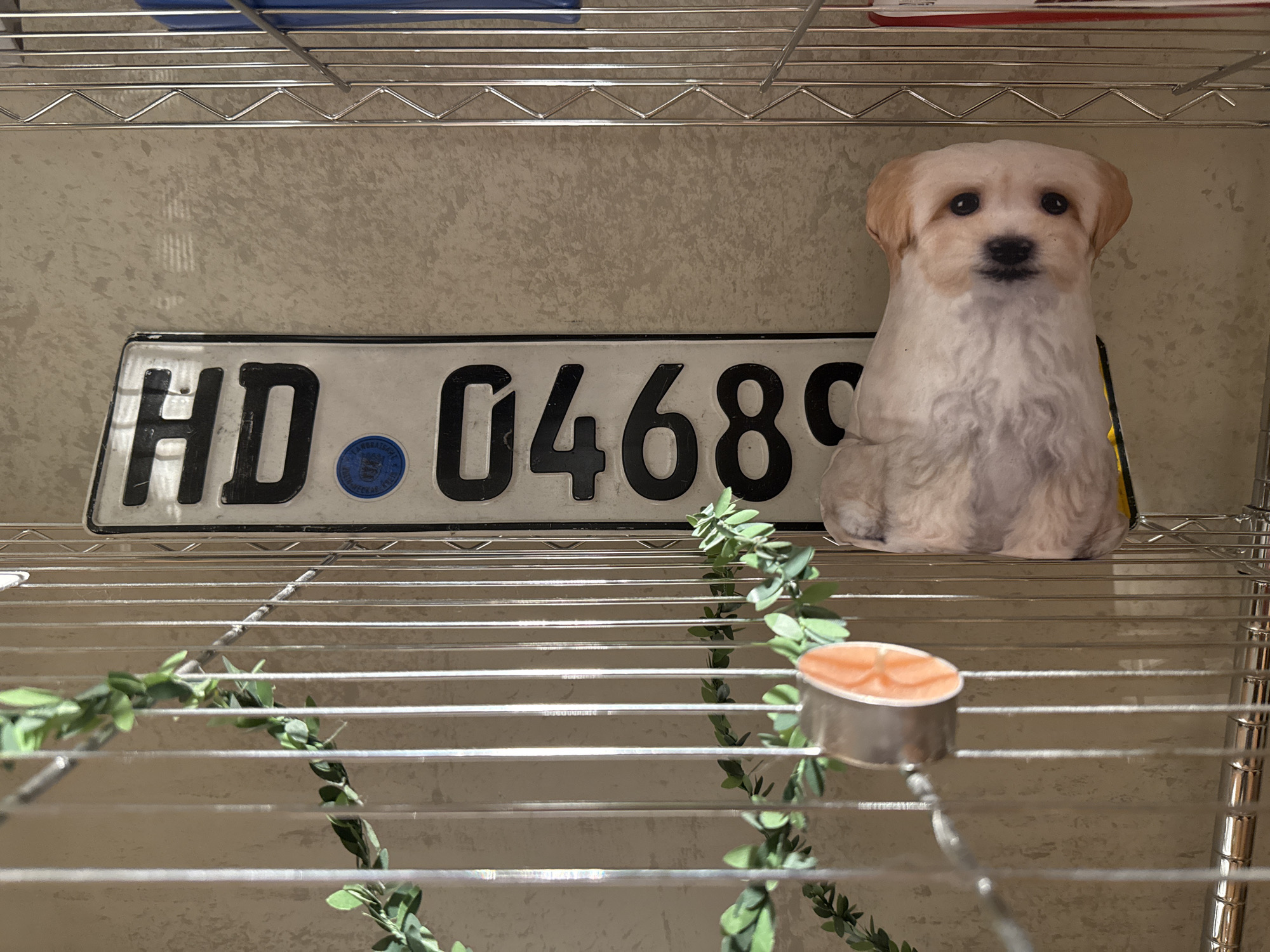 The image depicts a metal shelf with several items. On the upper shelf, there's a license plate with the characters "HD 04689" and a blue circular sticker. Next to the license plate is a plush toy of a light-colored dog. The lower shelf has a green vine-like decoration draped across it, and a small, orange tea light candle is placed on the vine. The background appears to be a textured, light-colored wall. The scene is set indoors, possibly in a storage area or a room. There is no information about the location in Бараўлянскі сельскі Савет, Belarus.