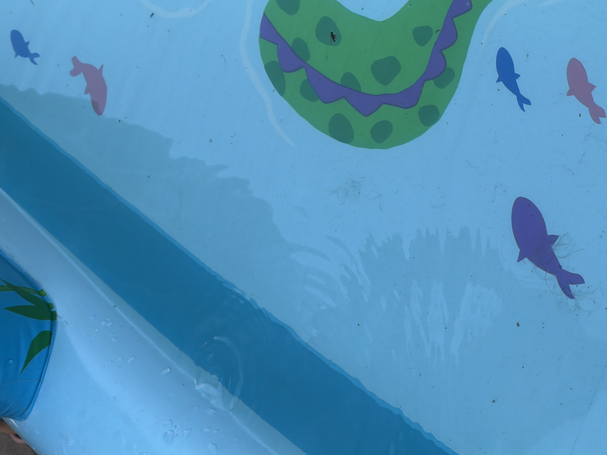The image shows a close-up, overhead view of a brightly colored inflatable pool filled with clear blue water. The pool's interior features painted graphics of aquatic life and a serpentine pattern. Specifically visible are three fish cutouts, one purple, one blue, and one pink, scattered across the pool floor. A large, green, segmented snake graphic with purple trim is partially visible on the right side of the frame, with a small insect resting on it. The water surface reflects light and shows ripples. The upper left corner of the image reveals a portion of a blue inflatable ring with green grass graphics. The overall scene suggests an outdoor recreational setting. There is no information within the image that indicates a specific location within Qarağandı city administration, Kazakhstan.