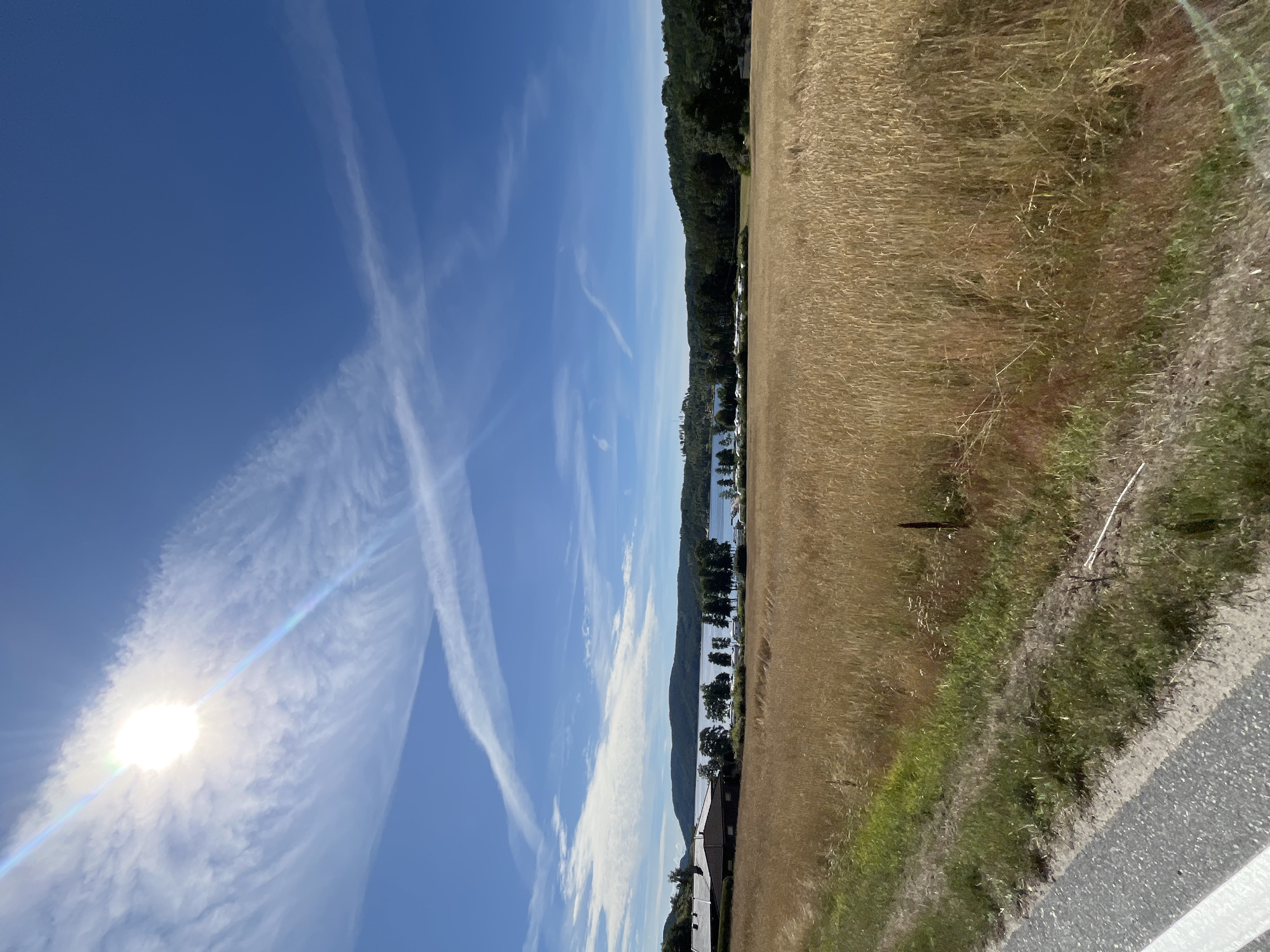 The image captures a sunlit rural landscape, likely situated in or near Halden, Norway, on a clear day with a vibrant blue sky. The foreground is dominated by a field of golden, mature grain, possibly wheat or barley, with some green vegetation along the road edge. A paved road with a white line marks the left side of the frame. In the mid-ground, a body of water, presumably a fjord or lake, is visible, with a line of trees separating it from the grain field. Beyond the water, rolling hills covered in dense green forest form the background. Several structures, appearing to be buildings with tiled roofs, are situated near the water's edge, along with a few parked vehicles, possibly a caravan park. The sun, positioned in the upper left corner, is bright and intense, creating lens flare and casting a light glow. Delicate, wispy clouds streak across the sky, some appearing as contrails, indicating aircraft activity. The overall scene conveys a sense of tranquility and natural beauty typical of a Norwegian summer.