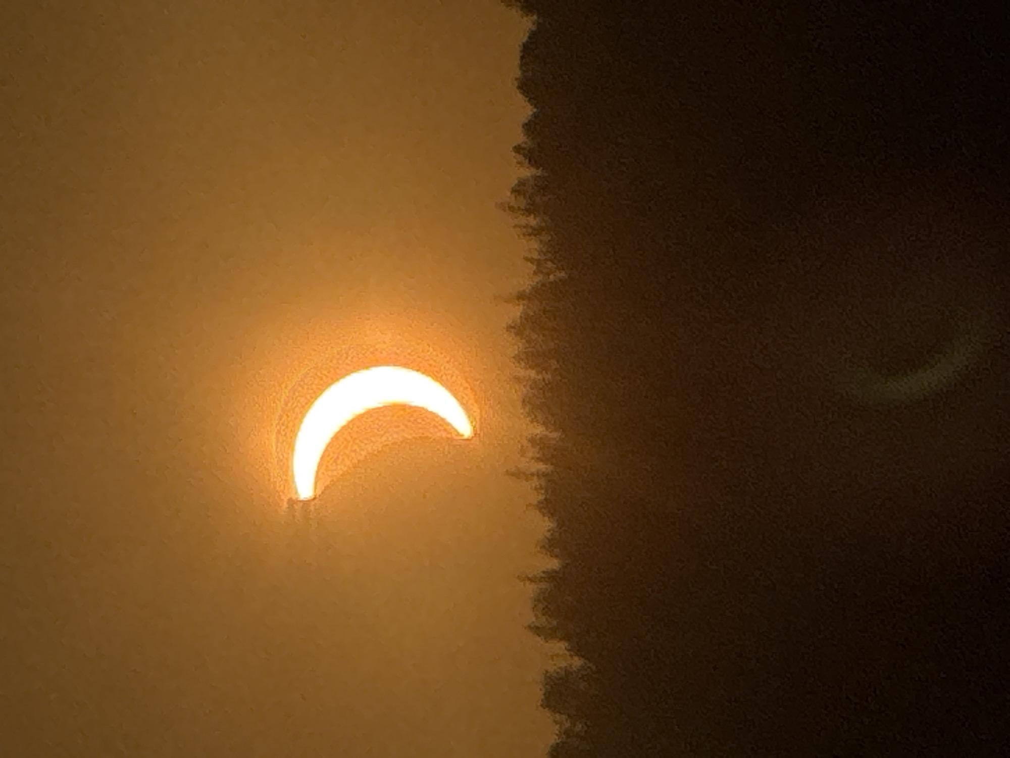 The image displays a partial solar eclipse occurring over a dark, silhouetted treeline. The sun, partially obscured, glows brightly in the upper portion of the frame, emitting an orange-yellow light that illuminates the hazy sky. The treeline below appears dense and indistinct, with the lower portion of the image dominated by shadow and a faint, blurred streak of light. The scene is shot from a distance, with the eclipse as the primary subject. The location is identified as Petit-Val, Switzerland.