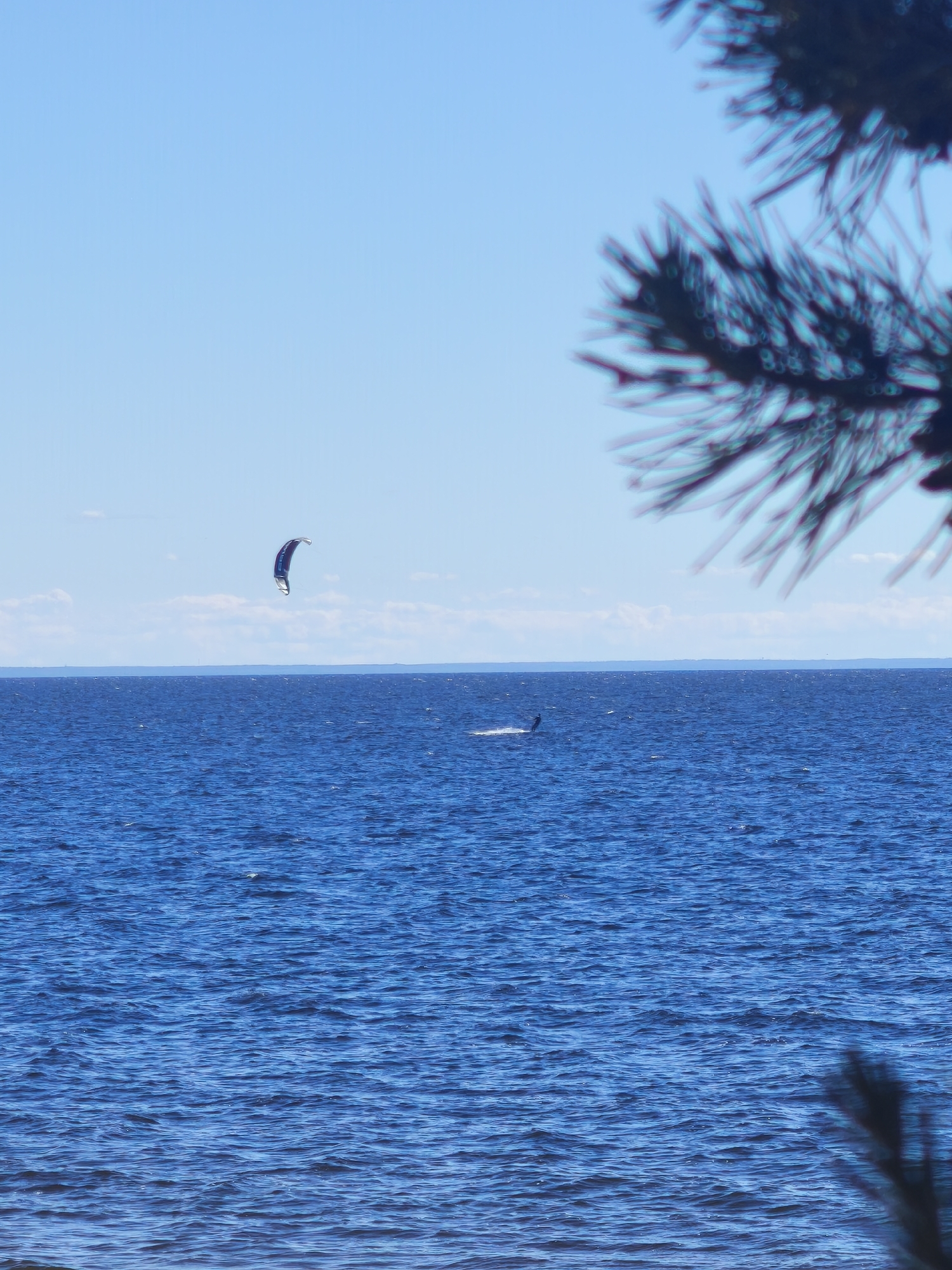 A bright, sunny day is depicted with a vast expanse of deep blue water under a clear sky with scattered white clouds. In the distance, a kitesurfer is actively engaged in their sport, gliding across the choppy surface of the water. Above and to the right, the blurred silhouette of pine needles suggests the presence of trees on the shore, hinting at a natural, coastal or lakeside setting. The image captures a moment of outdoor recreation, characterized by the vibrant colors of the sky and sea, and the dynamic movement of the kitesurfer. The overall mood is one of activity and natural beauty.