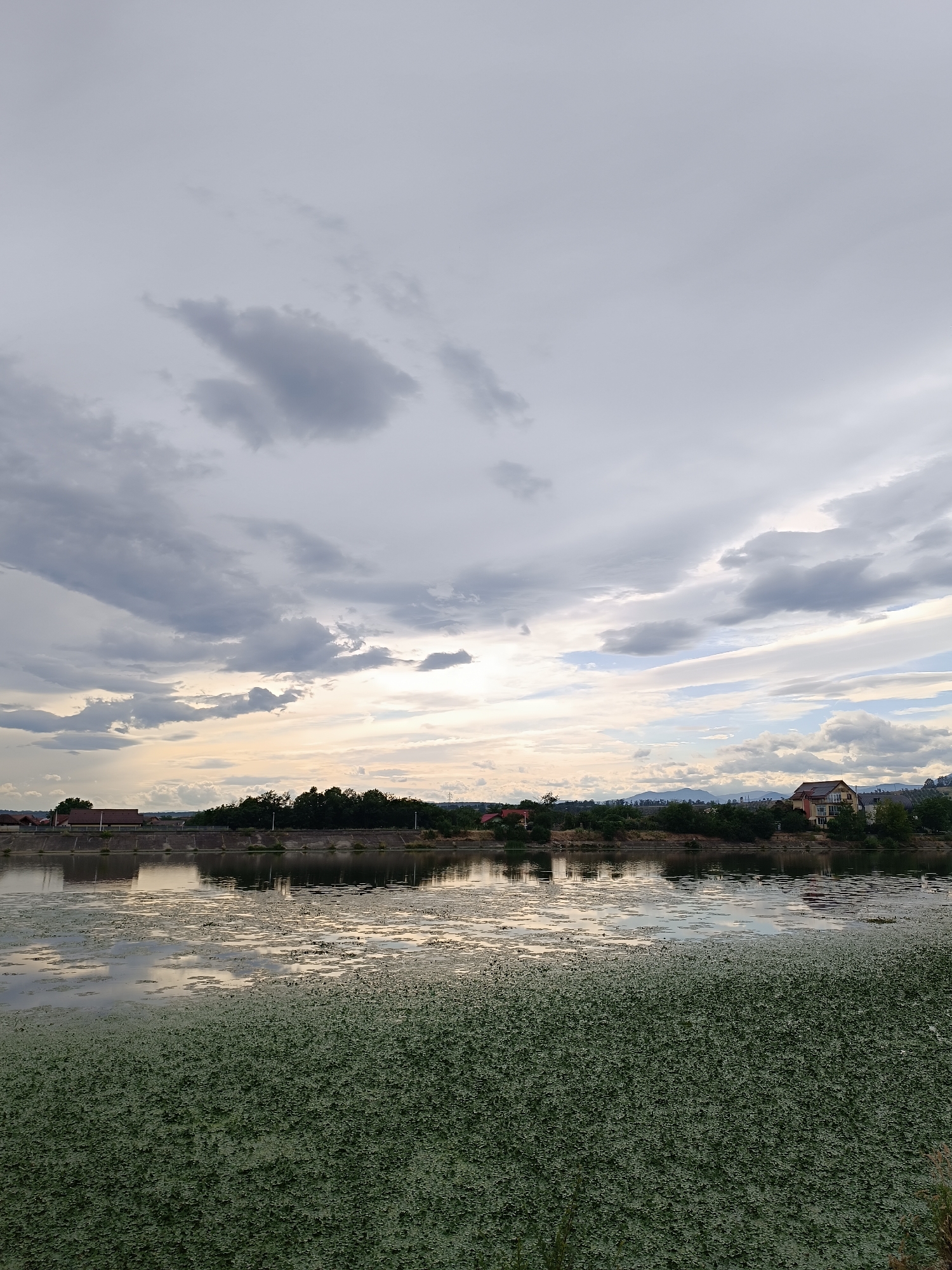 This is a photograph of a calm body of water, likely a lake or reservoir, in Târgu Jiu, Romania. The water is partially covered by a thick layer of green aquatic plants in the foreground, with reflections of the sky and distant shoreline visible in the clearer patches of water. The shoreline is lined with trees and vegetation, behind which are several houses and buildings. The sky is overcast with dramatic, textured clouds, with hints of pale sunlight breaking through in the distance. The overall atmosphere is serene and somewhat moody due to the cloud cover. There are no people or animals visible in the image.