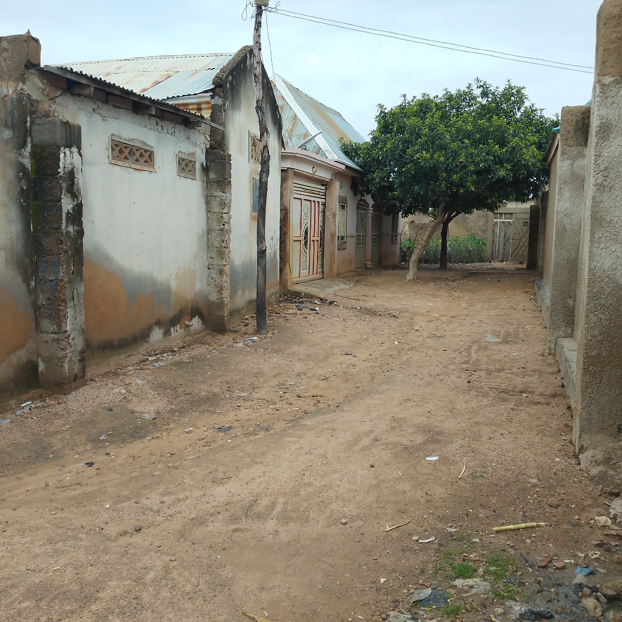 The image depicts an outdoor scene in Pantame, Nigeria. A dirt pathway or road occupies the foreground and middle ground, with scattered debris including rocks, small pieces of plastic, and organic material. On the left, a light-colored building with a corrugated metal roof shows signs of wear and tear, with exposed brickwork and discolored walls. Two square ventilation grates with geometric patterns are visible on this building's wall. To the right of the pathway, another building is partially visible, with a light-colored facade. Further back, a large, leafy green tree stands prominently. The background shows more buildings, some with corrugated metal roofs, and power lines crossing the overcast sky. The scene suggests a residential or semi-developed area.