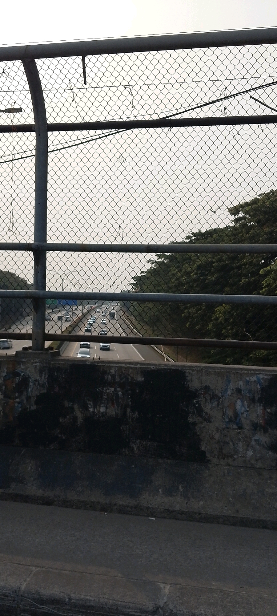 This is a photograph taken from an overpass in Depok, Indonesia, looking down at a multi-lane highway. The foreground features a concrete barrier with dark, weathered markings, likely graffiti or wear and tear. Above this barrier, a chain-link fence with horizontal metal bars runs across the frame, partially obscuring the view of the highway below. The highway is bustling with traffic, consisting of various cars and some trucks. Trees line the side of the highway, creating a green buffer. The sky above is overcast, contributing to the muted lighting of the scene. The perspective suggests the image was captured by someone standing on the pedestrian walkway of the overpass.