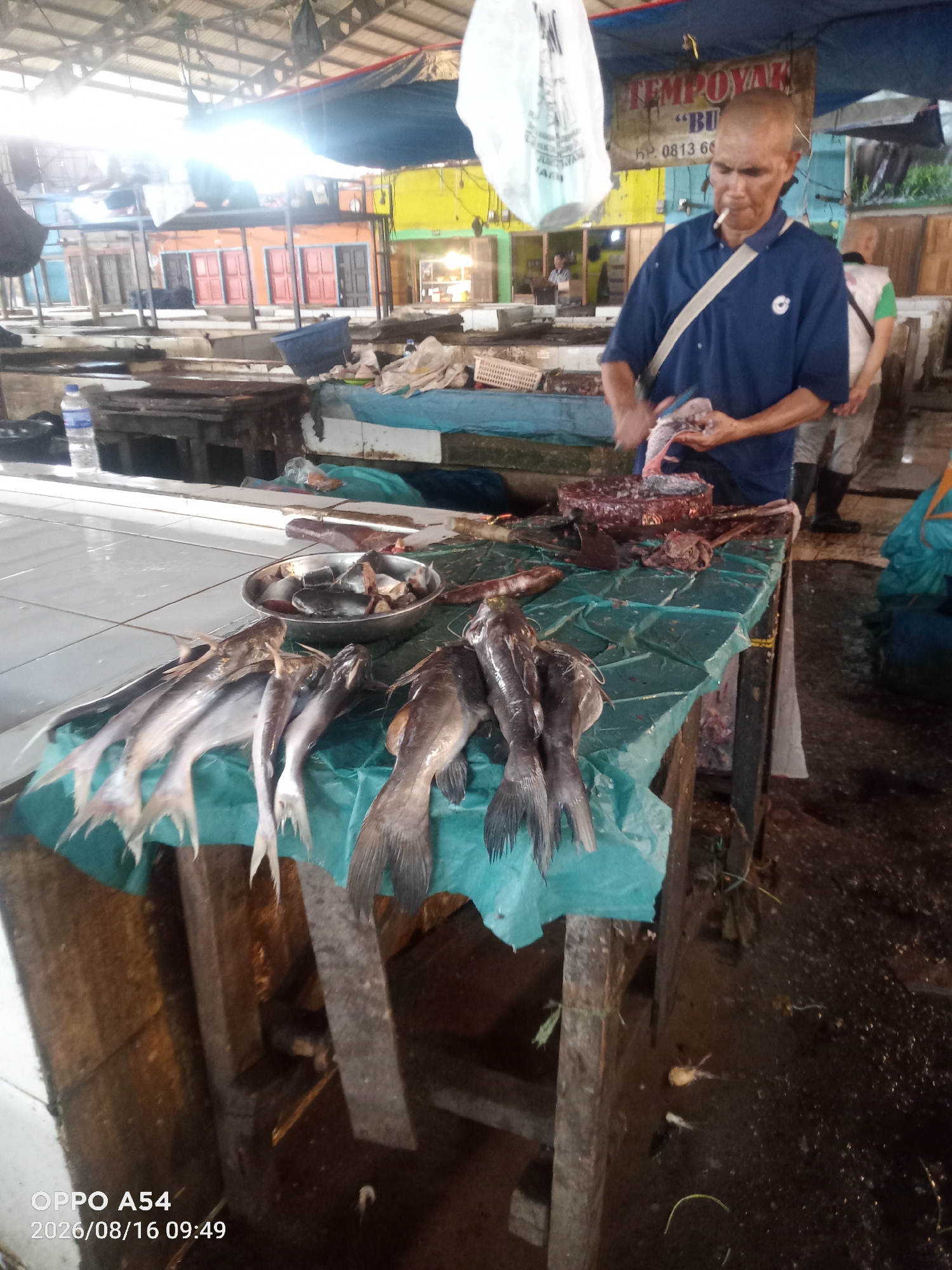 A man with a shaved head, wearing a blue collared shirt and a white strap across his chest, stands at a table in a busy market in Jambi, Indonesia. He is smoking a cigarette and appears to be in the process of cleaning or preparing fish. Several whole fish are laid out on a green tarp on the table, and a metal bowl filled with fish pieces is also visible. The background shows stalls with brightly colored buildings and tarps, typical of a market environment. The floor is wet and appears to be dirty. The image was taken on August 16, 2026, at 09:49.