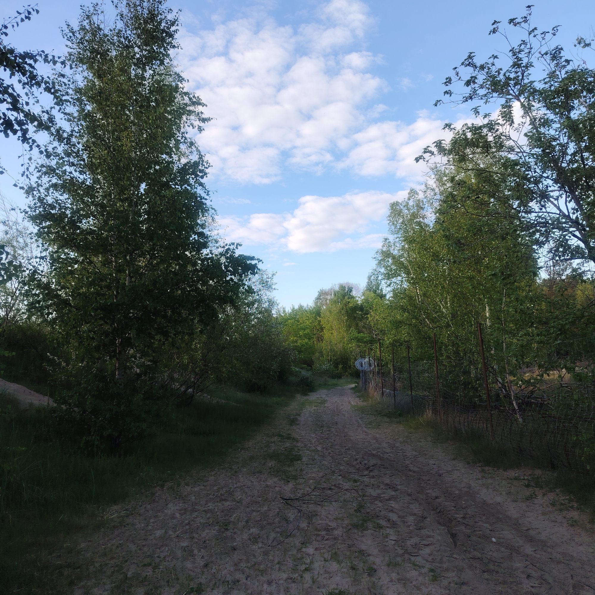 A sand-covered dirt road stretches into the distance, flanked by trees and foliage. A fence runs along the right side of the road, topped with barbed wire. The sky is visible above the trees, dotted with clouds. Based on the typical landscape and the potential presence of barbed wire, this image could be from a forested area outside the city center. A specific location in Riga, Latvia cannot be identified from this image alone.