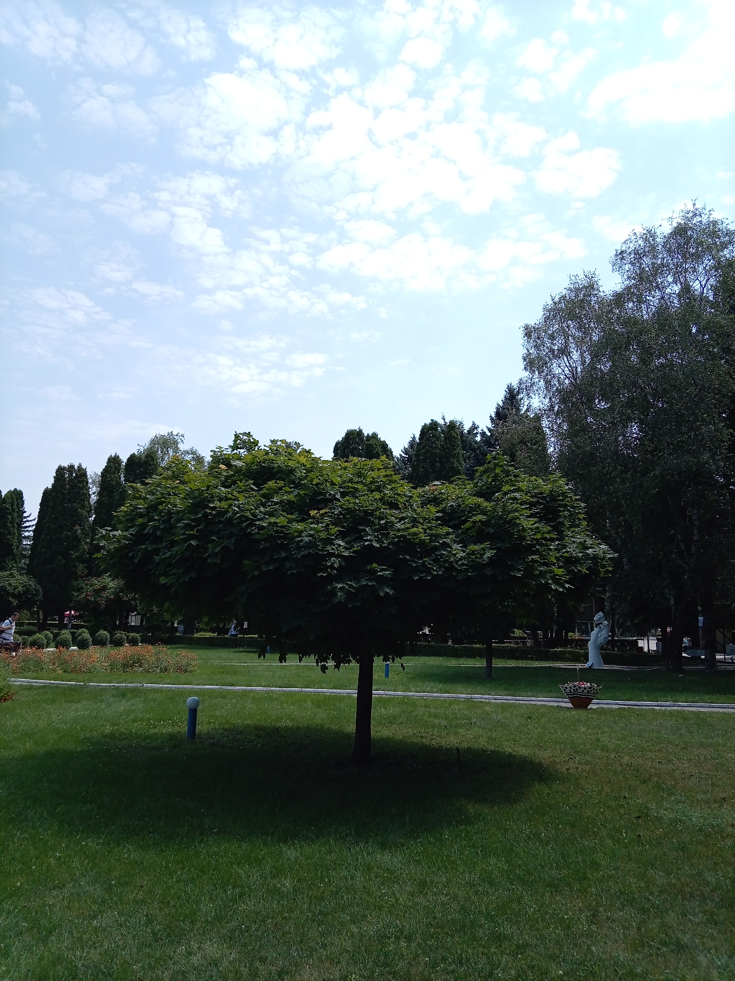 The image shows a sunny day in a park, possibly located in Yessentuki, Russia, given the presence of mature trees and manicured gardens. In the foreground, a well-maintained lawn is visible, with a large, bushy tree casting a shadow in the center. To the left of the tree, a blue post is partially submerged in the grass. In the background, various trees, including coniferous and deciduous varieties, form a dense backdrop. A pathway runs through the park, and on the right side of the pathway, there is a white statue of a person in a seated position. Near the statue, a decorative planter filled with flowers sits on the grass. In the far left of the image, a few people can be seen walking in the park. The sky above is a clear blue with scattered white clouds.