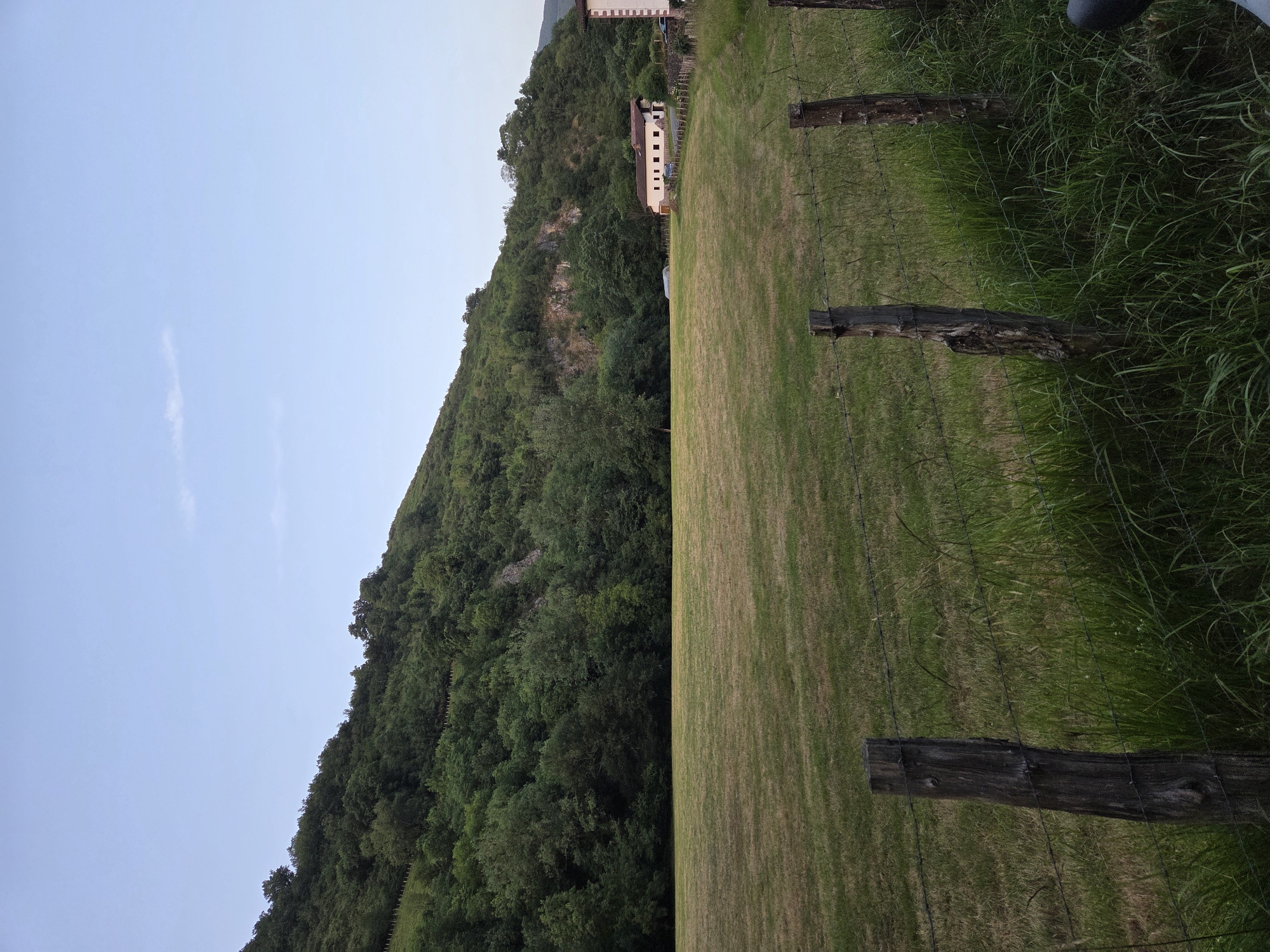 The image depicts a rural landscape in the city of Baztan, Spain, under a pale blue sky. In the foreground, a weathered wooden fence with barbed wire runs horizontally, dividing a grassy field from tall green grass and weeds. The field itself is a patchwork of dry and green grass, suggesting recent mowing or uneven growth.
Behind the field, a dense forest covers the slope of a large, green hill. The trees are lush and varied in shade, with rocky outcrops visible through the foliage on the upper slopes. A single, larger tree stands isolated in the middle ground of the field.
Further in the background, a white building with a red-tiled roof is visible to the right. It appears to be a residential property, with several windows and a slightly darker section on the far right suggesting an attached structure. A small cluster of dark-colored vehicles is parked in front of the building. A barbed wire fence also separates the property from the field. The overall impression is one of a peaceful, natural setting with a touch of human habitation.