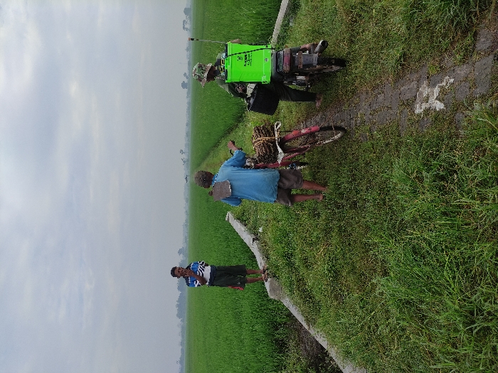 This image captures a rural agricultural scene in Wonoayu, Indonesia, under an overcast sky. Three men are present amidst vast, lush green rice fields. A narrow, muddy path runs through the fields, bordered by a concrete or stone ledge on one side.
On the far right, a man wearing a hat is seen next to a small motorized vehicle. This vehicle has a bright green tank mounted on its rear, which appears to be a sprayer used for agricultural purposes. Faint white text, possibly including "MAX", "36", and "2.4", is visible on the tank.
In the center of the image, another man, dressed in a blue shirt and dark shorts, stands next to a red bicycle. The bicycle's rear rack is heavily loaded with several bundles of what looks like wood or harvested crops, indicating transportation activities.
To the left, a younger man in a striped shirt and dark shorts stands on the concrete ledge, looking directly towards the camera.
The scene depicts daily life and agricultural work in a verdant, farming environment, with the overcast conditions providing diffused light. The subjects are engaged in farming-related tasks or are present within this rural setting.