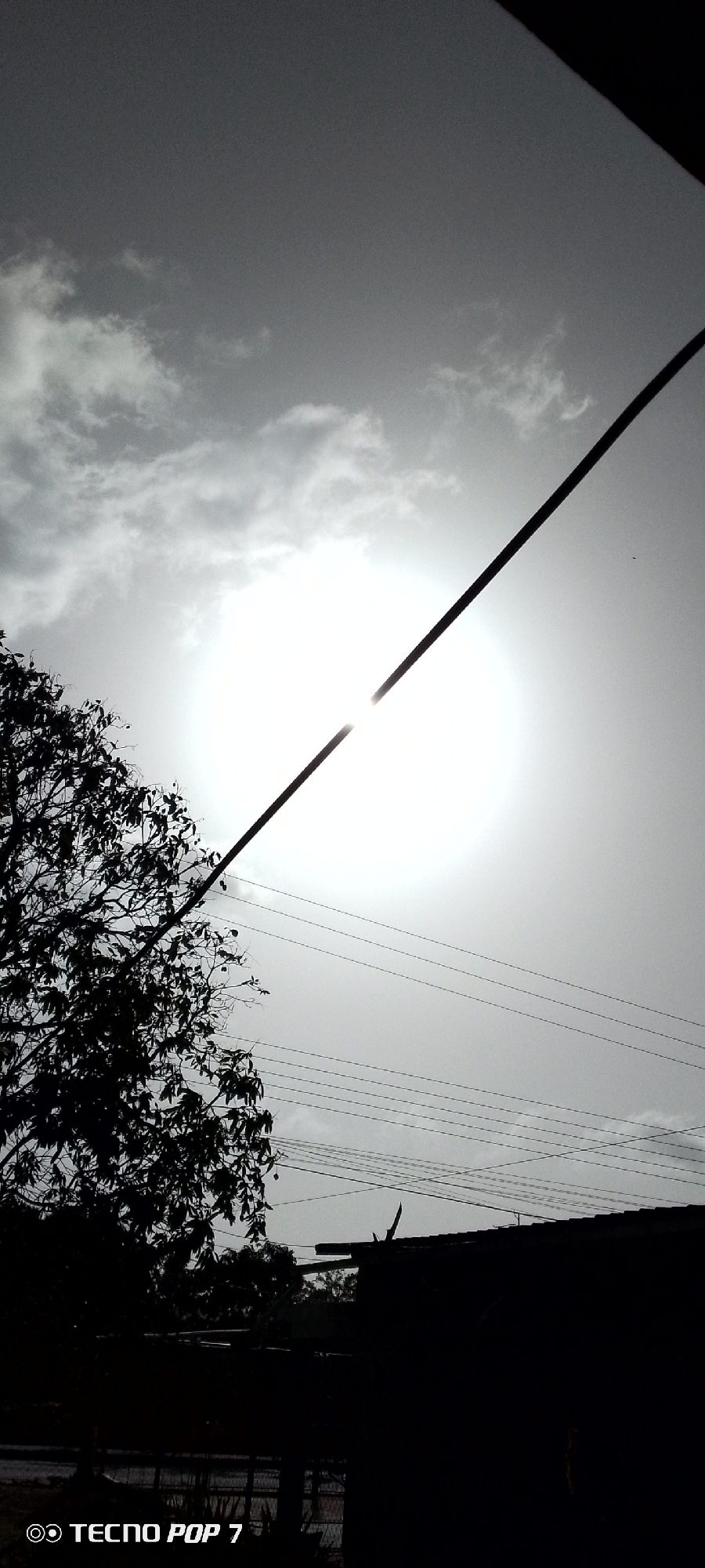 The image displays an outdoor scene characterized by high contrast and strong backlighting, appearing predominantly monochrome. A very bright, overexposed sun dominates the central part of the sky, creating a radiant halo and intense glare. The sky surrounding the sun is a light to medium grey, with some indistinct cloud formations visible, particularly in the upper left.
A prominent, thick, dark diagonal cable or power line stretches across the image from the upper right corner to the lower left, cutting through the center of the sun's glare. To the left, a large, densely foliated tree is silhouetted in dark black, extending upwards from the bottom edge. Multiple thinner, horizontal wires or cables are visible across the mid-section, running above and behind the tree and disappearing towards the right. In the bottom right corner, dark, indistinct silhouettes of what appear to be parts of buildings or roofs are partially visible, heavily underexposed against the bright sky.
No human figures or specific activities are present. The strong sun suggests it is daytime, possibly a midday or early afternoon scene under a hazy or partly cloudy sky in Altagracia, Venezuela. The overall impression is one of stark natural light. The text "TECNO POP 7" accompanied by a camera icon is visible in the bottom left corner.